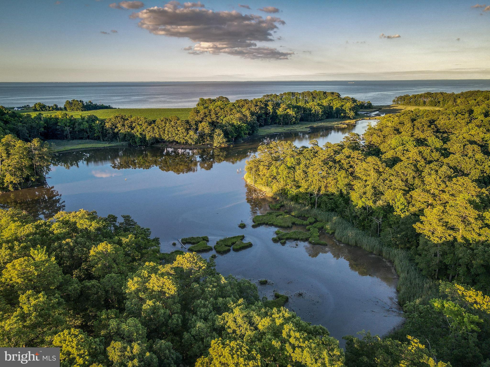 Lexington Park, Maryland, 20653, United States, 4 Bedrooms Bedrooms, ,3 BathroomsBathrooms,Residential,For Sale,1999530