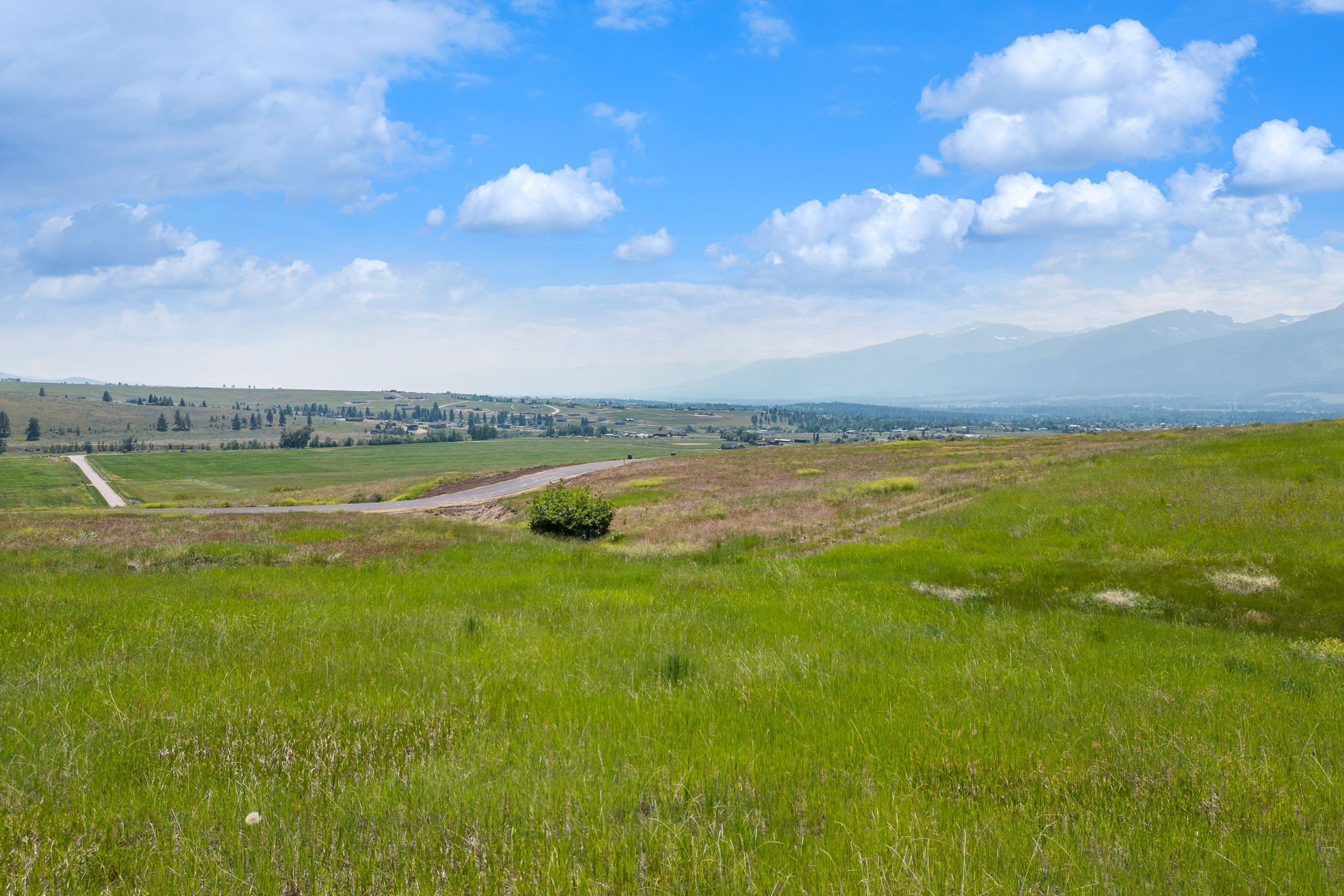   - 物件實景