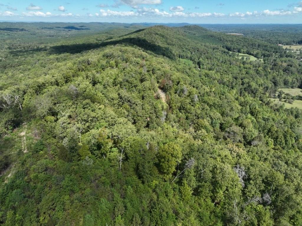 Ringgold, Georgia, 30736, United States, ,Residential,For Sale,1958114