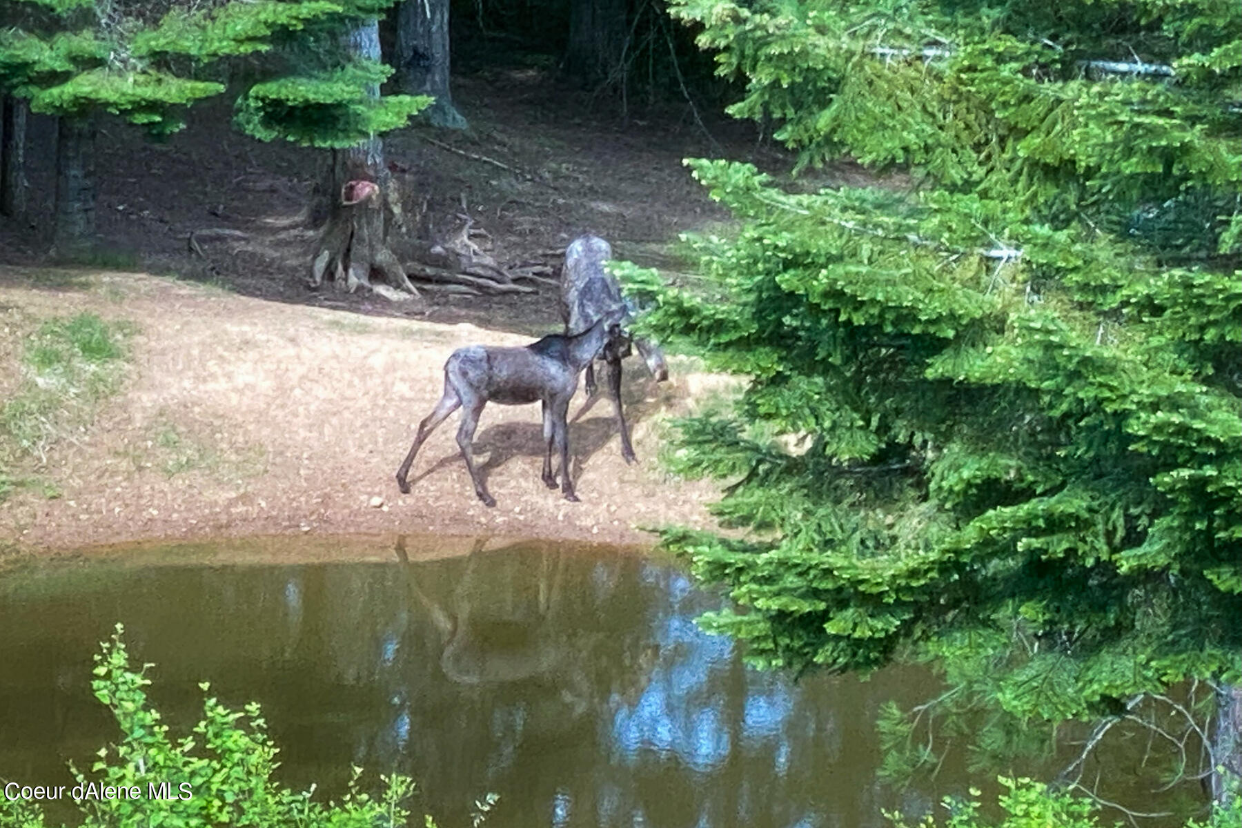 Coeur d'Alene, Idaho, 83814, United States, 4 Bedrooms Bedrooms, ,3 BathroomsBathrooms,Residential,For Sale,1974008