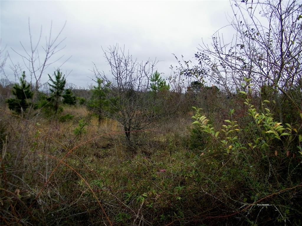 Idabel, Oklahoma, 74745, United States, ,Residential,For Sale,1981153