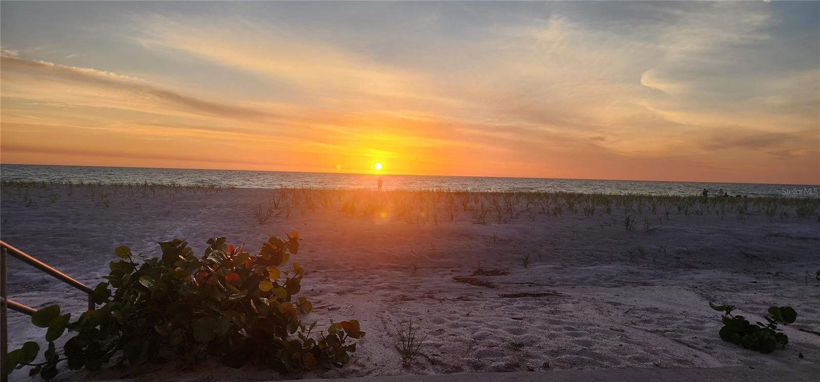 BELLEAIR BEACH, Florida, 33786, United States, 2 Bedrooms Bedrooms, ,2 BathroomsBathrooms,Residential,For Sale,2043388