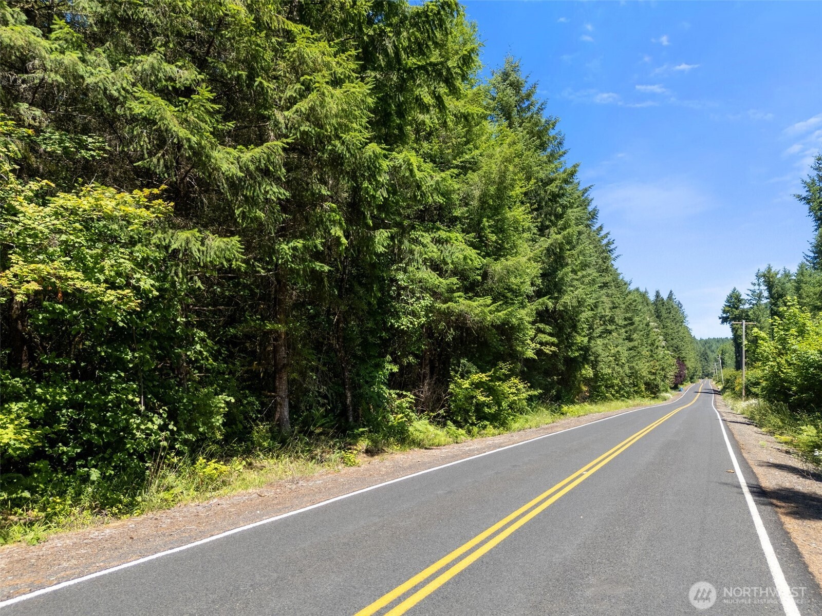 Ethel, Washington, 98542, United States, ,Residential,For Sale,1936927