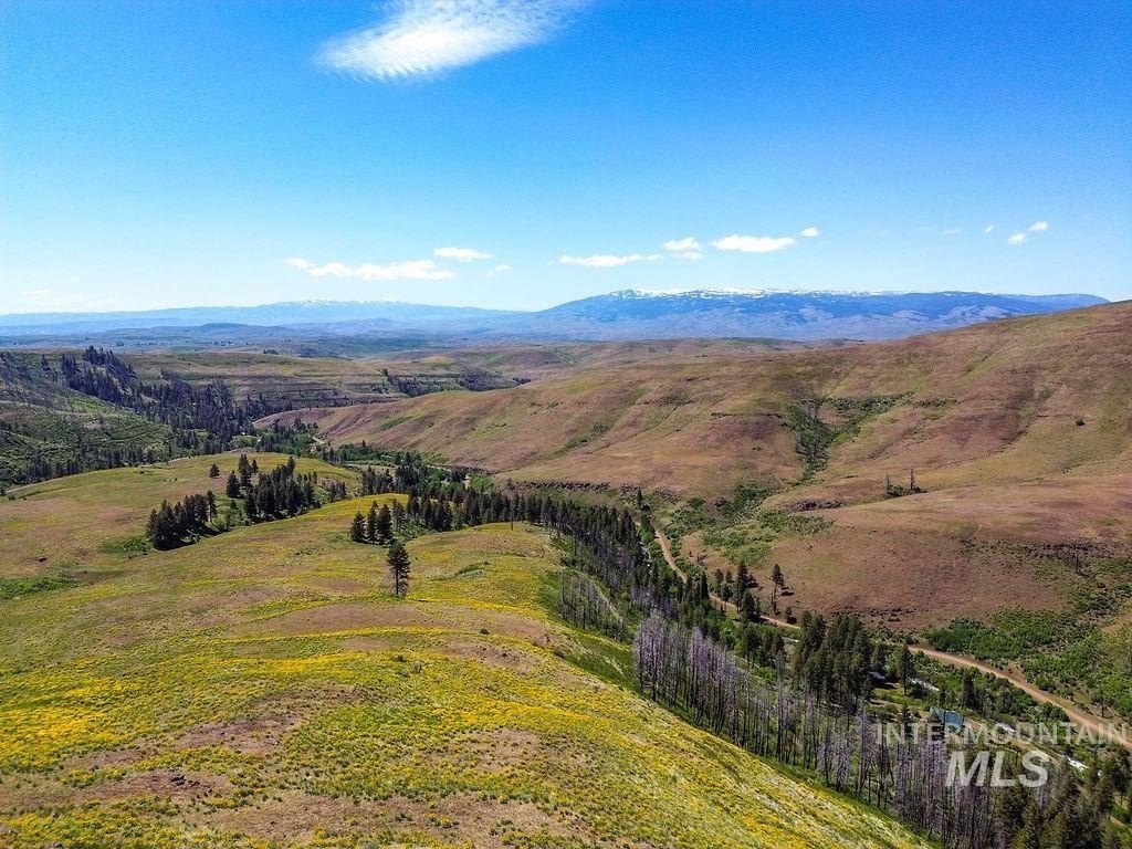 Council, Idaho, 83612, United States, ,Residential,For Sale,1975334