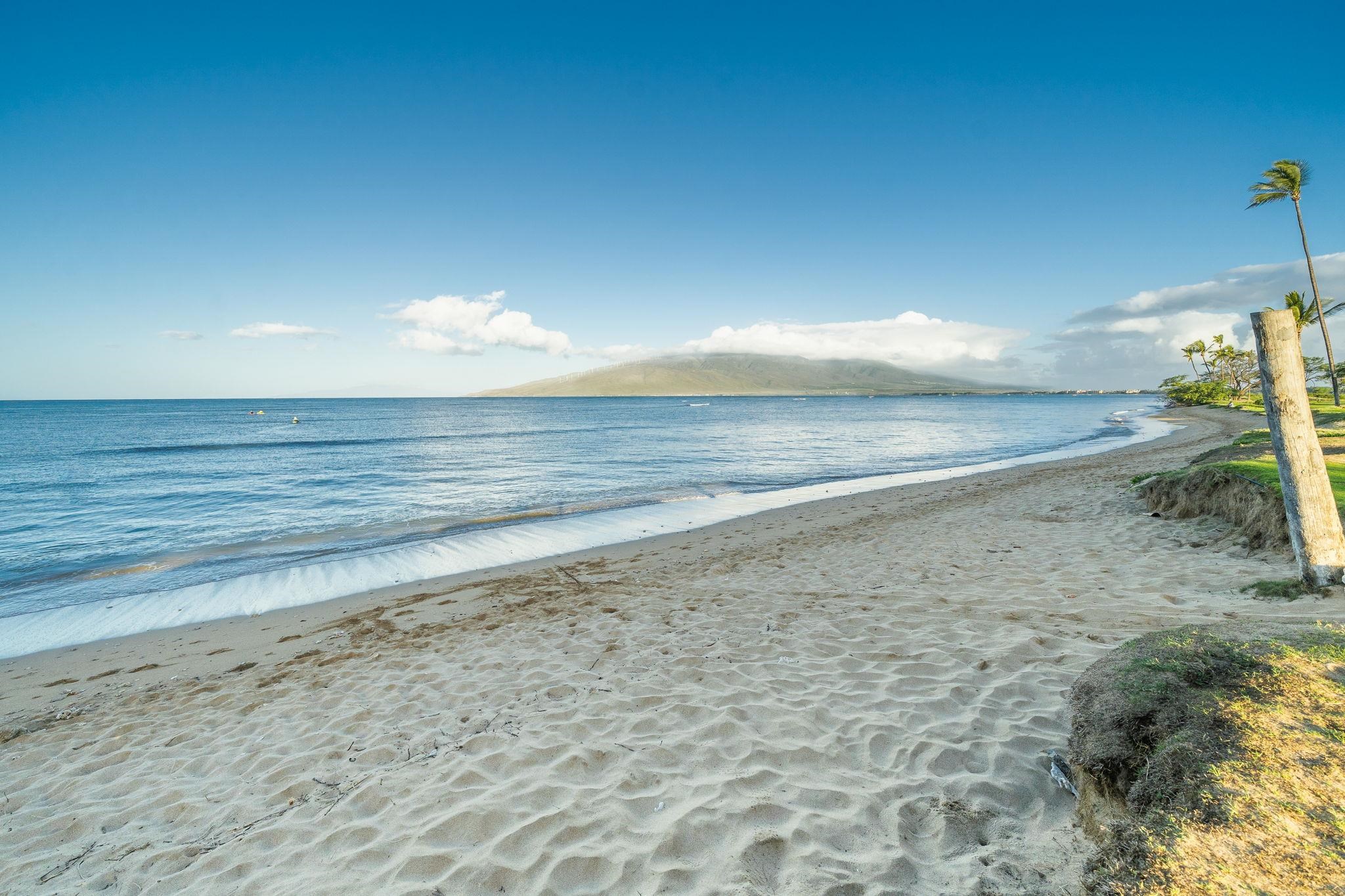 Kihei, Hawaii, 96753, United States, 1 Bedroom Bedrooms, ,1 BathroomBathrooms,Residential,For Sale,1692851