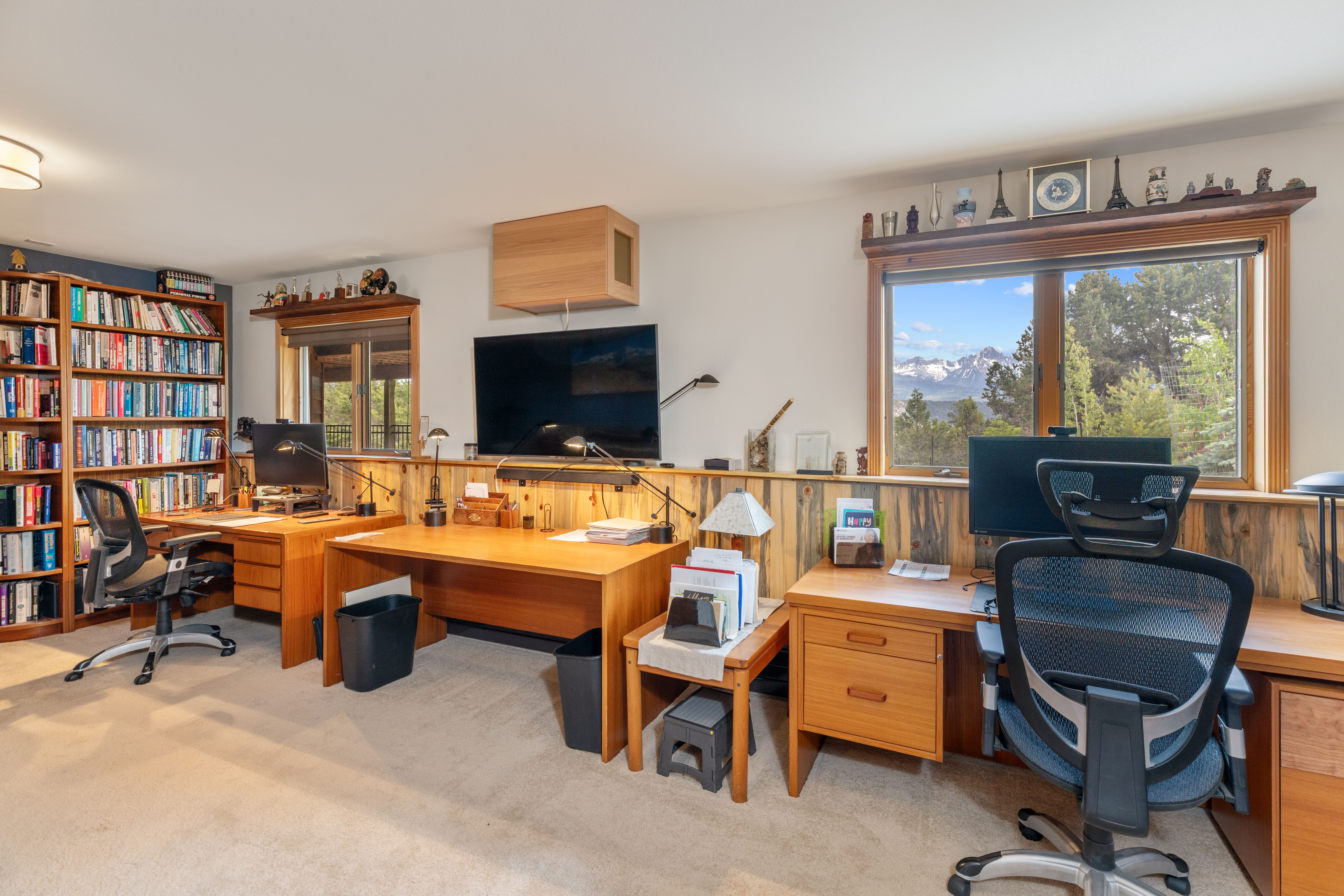  A Rare Find in Ridgway - Privacy, Space, Luxury and Panoramic Views on Acreage - 物件實景