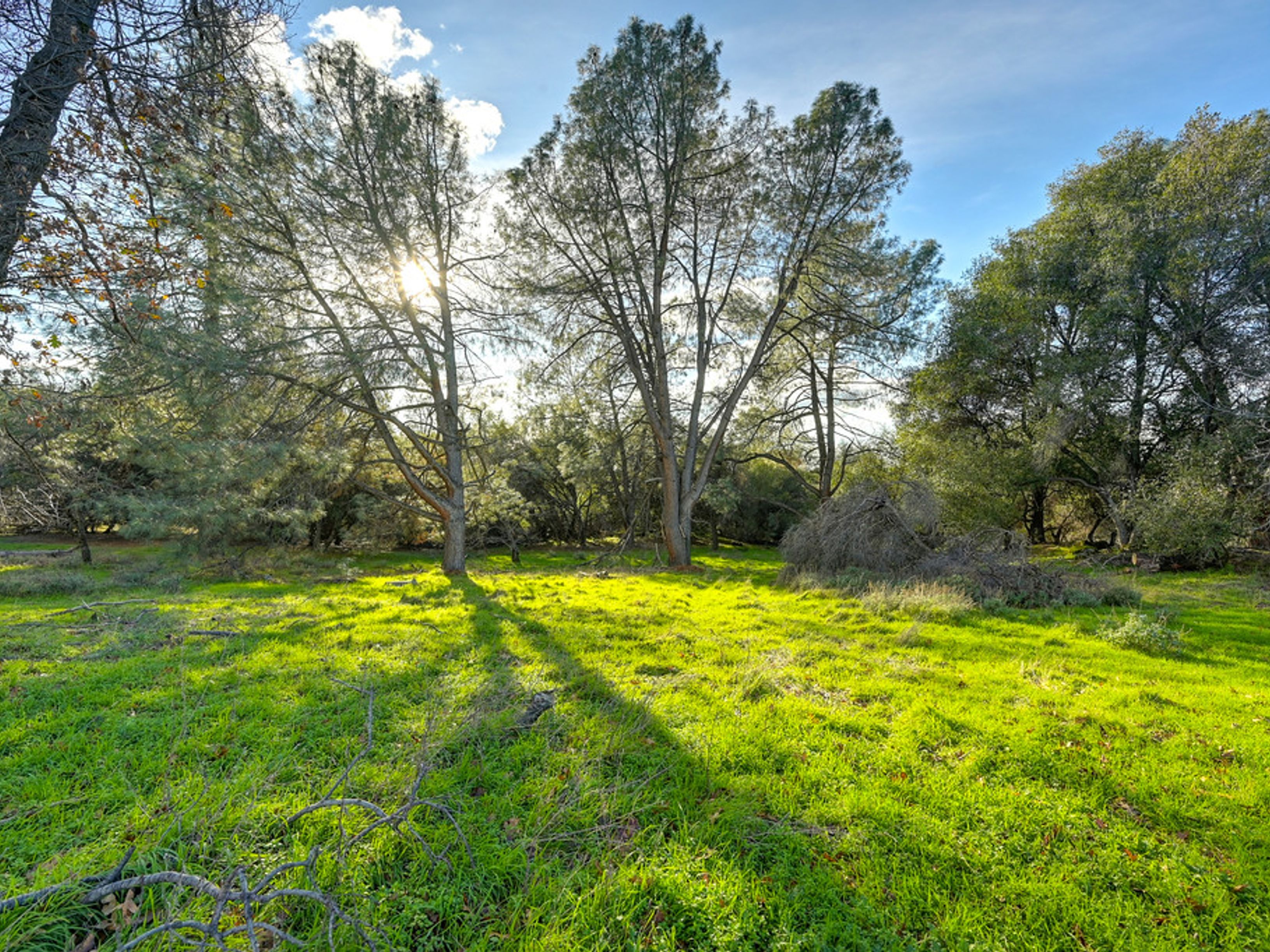  1800 Silverado Drive, Placerville, CA 95667 - 物件實景