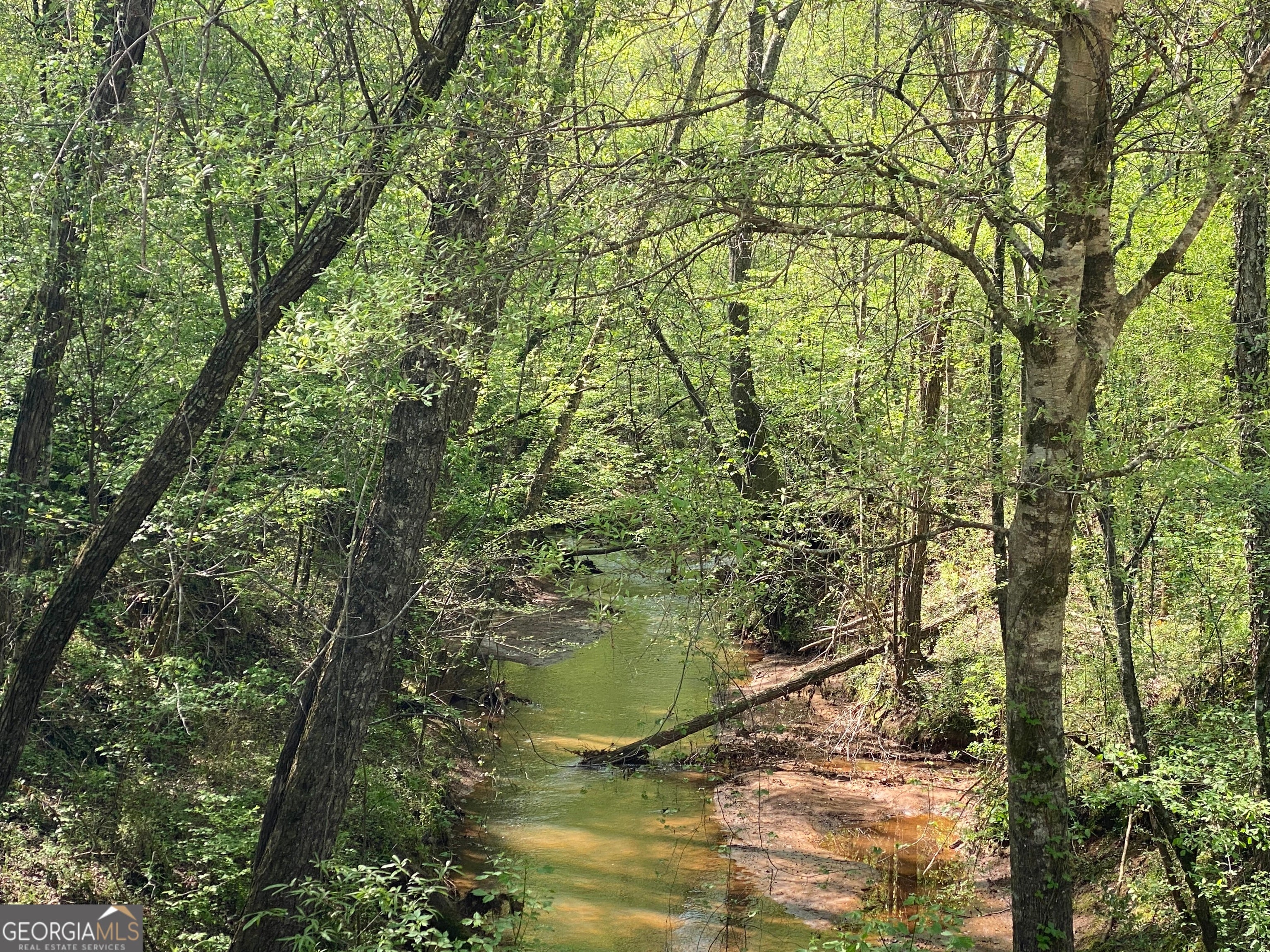 Forsyth, Georgia, 31029, United States, ,Land,For Sale,1907989