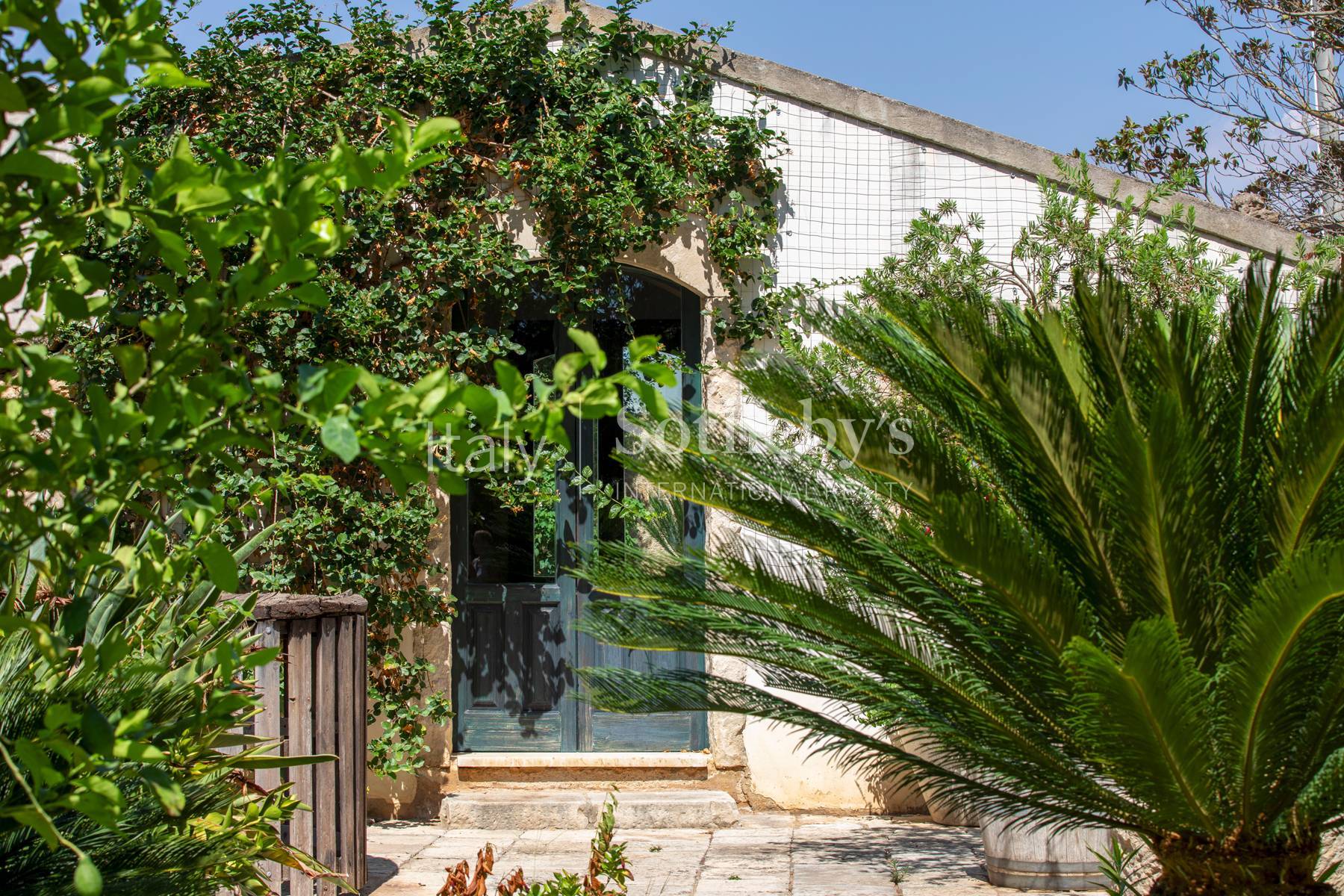  Historic Sicilian wine estate with vineyards and olive grove - 物件實景