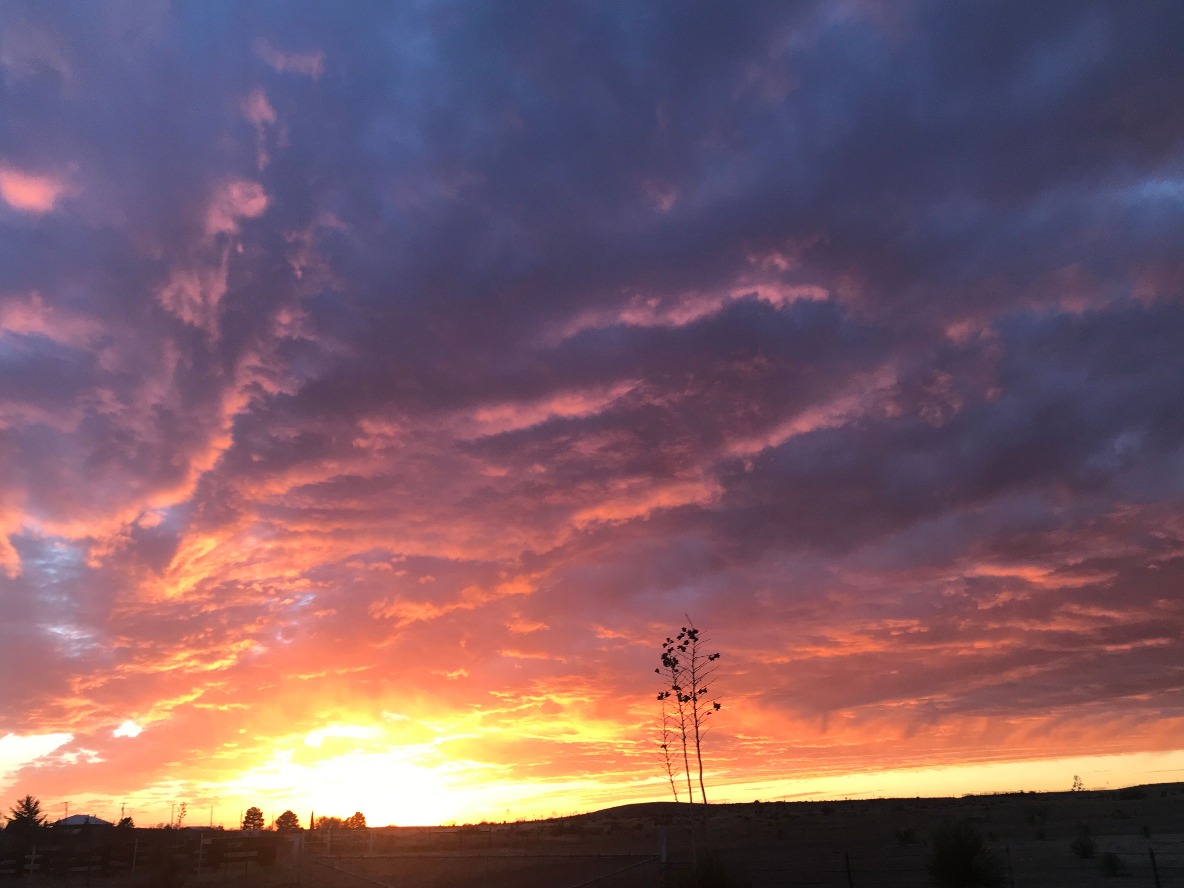  18311 Hwy 90, Marfa, TX 79843 - 物件實景