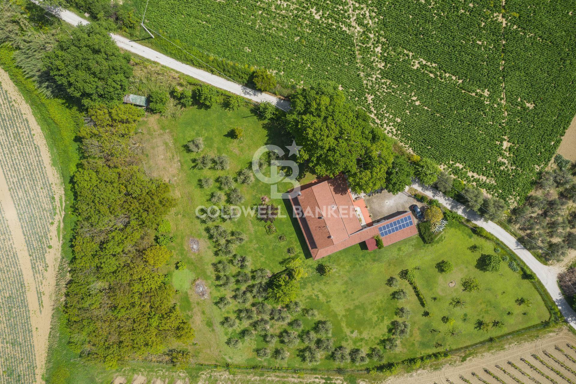 via giardino, San Clemente, Rimini, 47040, IT, 5 Bedrooms Bedrooms, ,3 BathroomsBathrooms,Residential,For Sale,via giardino,1522427