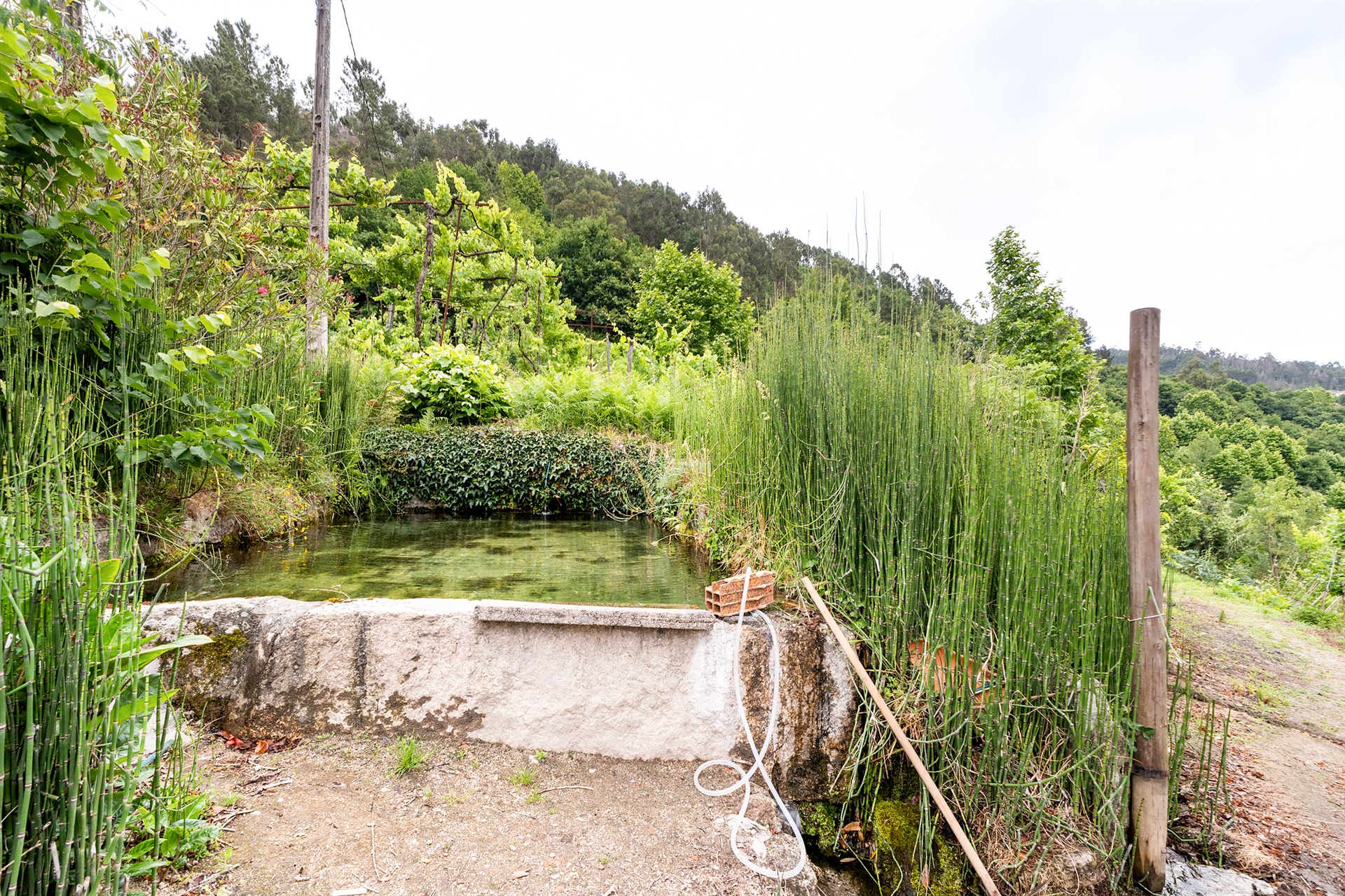  Farm, 3 bedrooms, for Sale - 物件實景