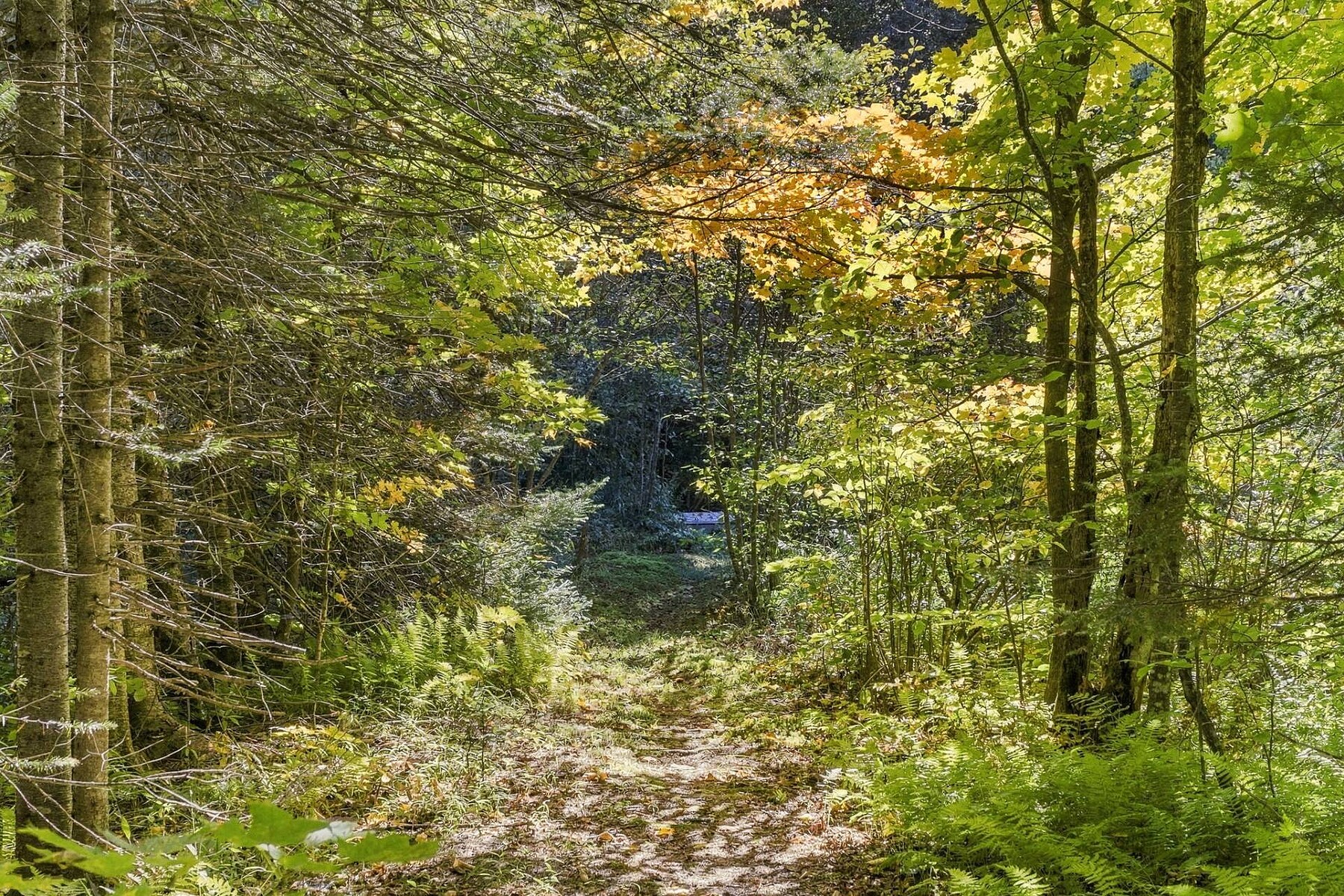  Ivry-sur-le-Lac, Laurentides - 物件實景
