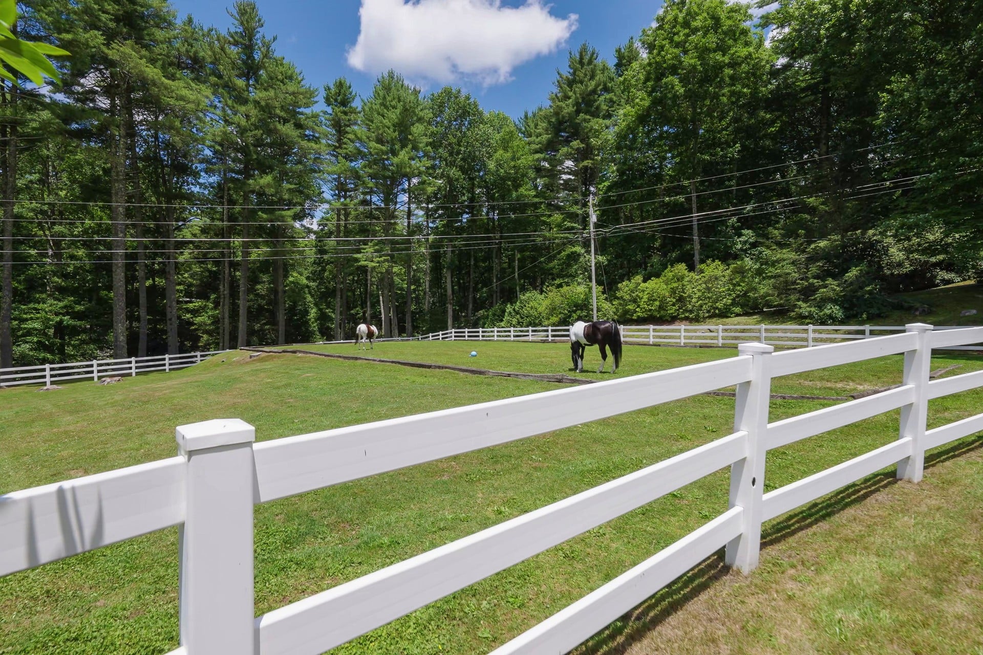  177 Forest Trail, Highlands, NC 28741 - 物件實景