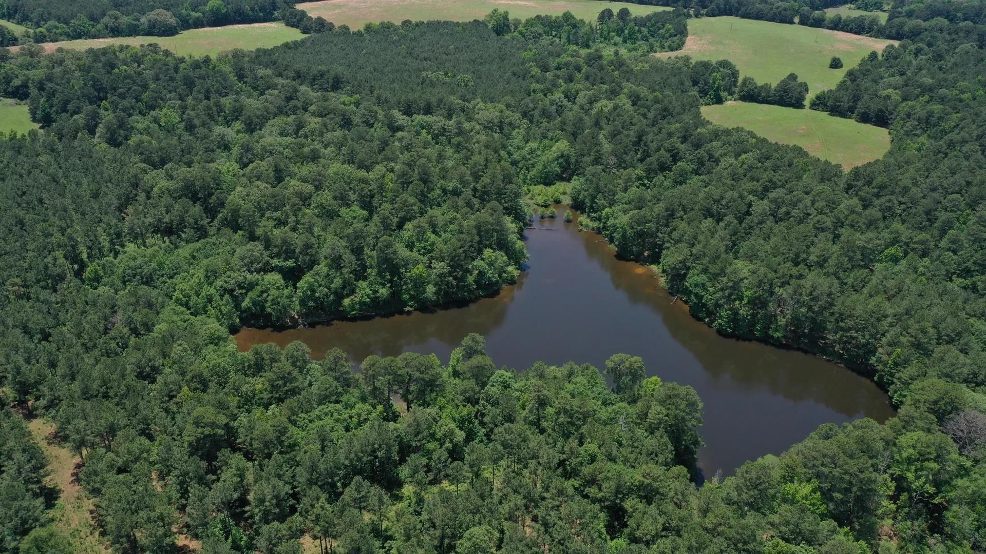 Douglassville, Texas, 75560, United States, ,Land,For Sale,2048006