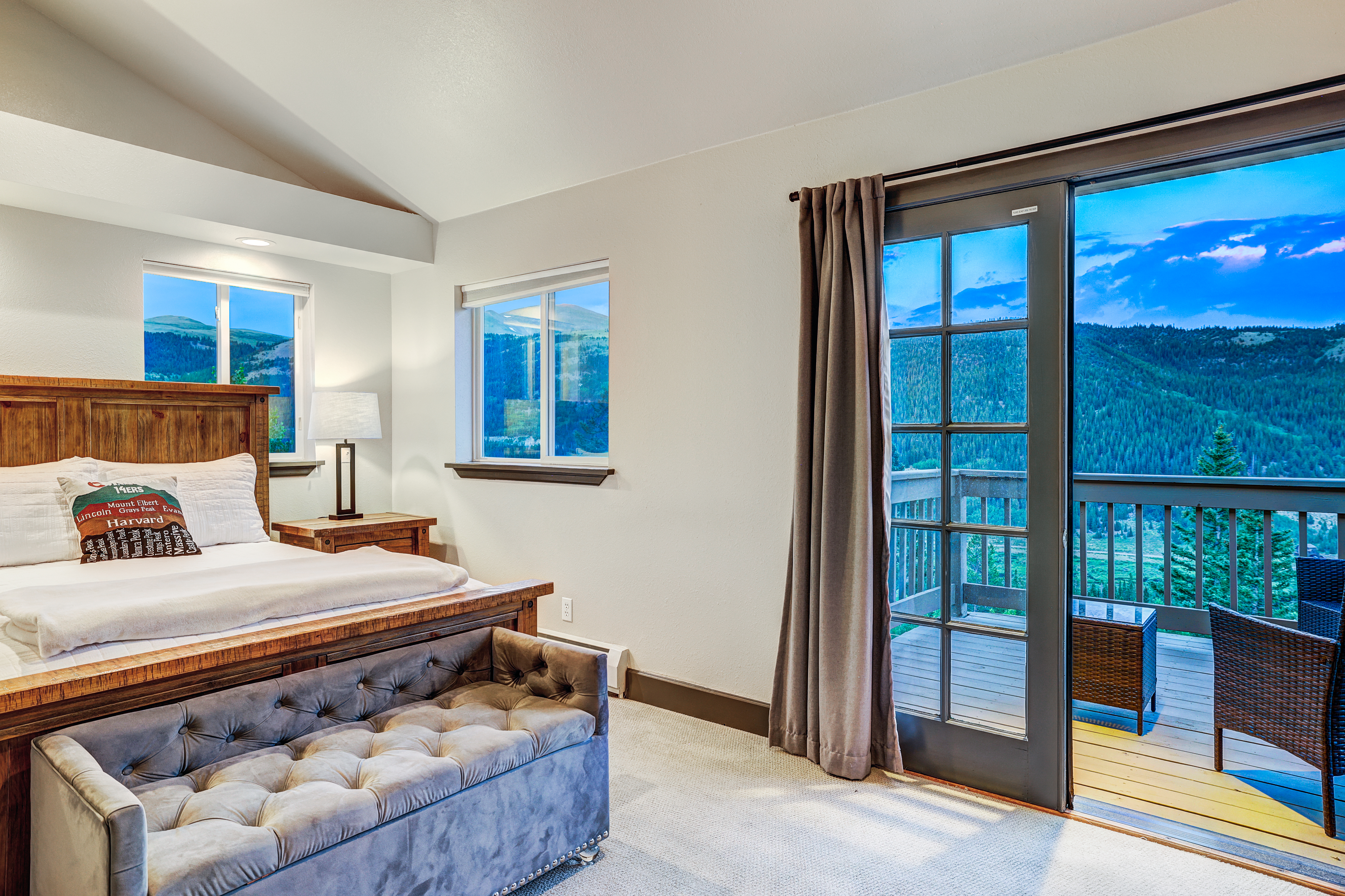  1095 Quartzville,Alma, CO, 80420 - 物件實景