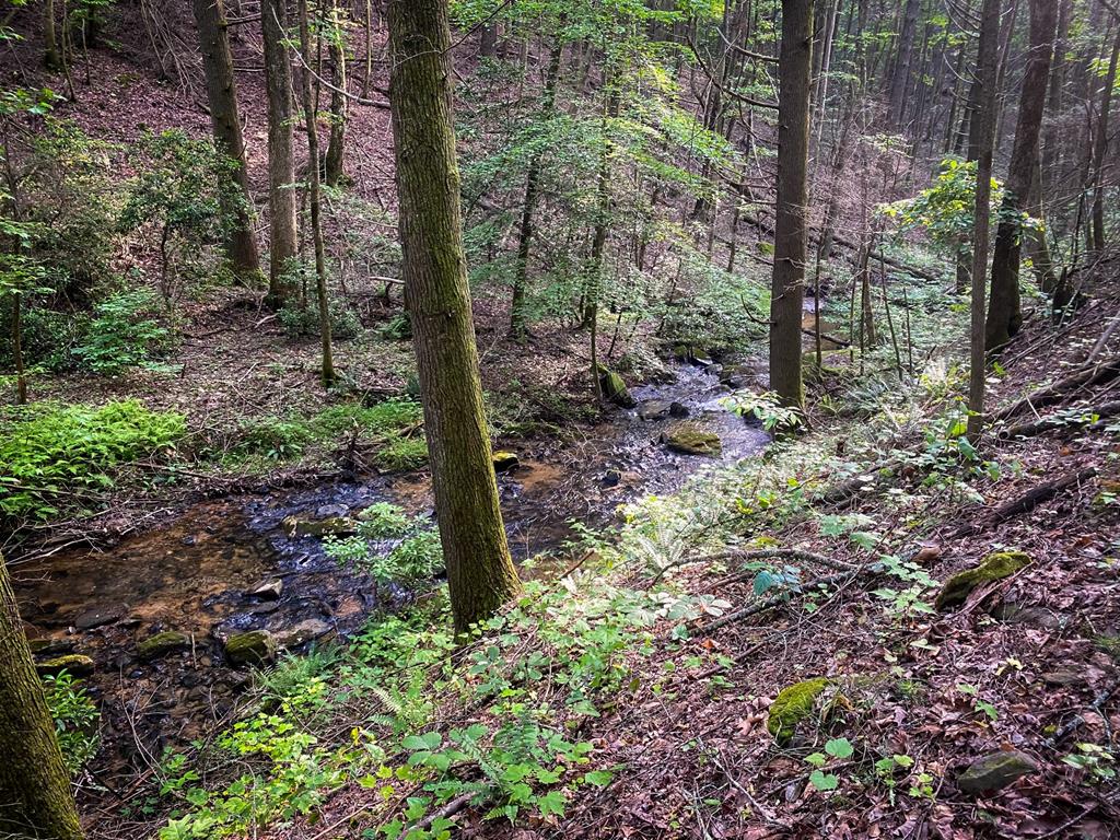 2151 Old Northcutt Road, Ellijay, Georgia, 30536, United States, 4 Bedrooms Bedrooms, ,2 BathroomsBathrooms,Residential,For Sale,2151 Old Northcutt Road,1538841