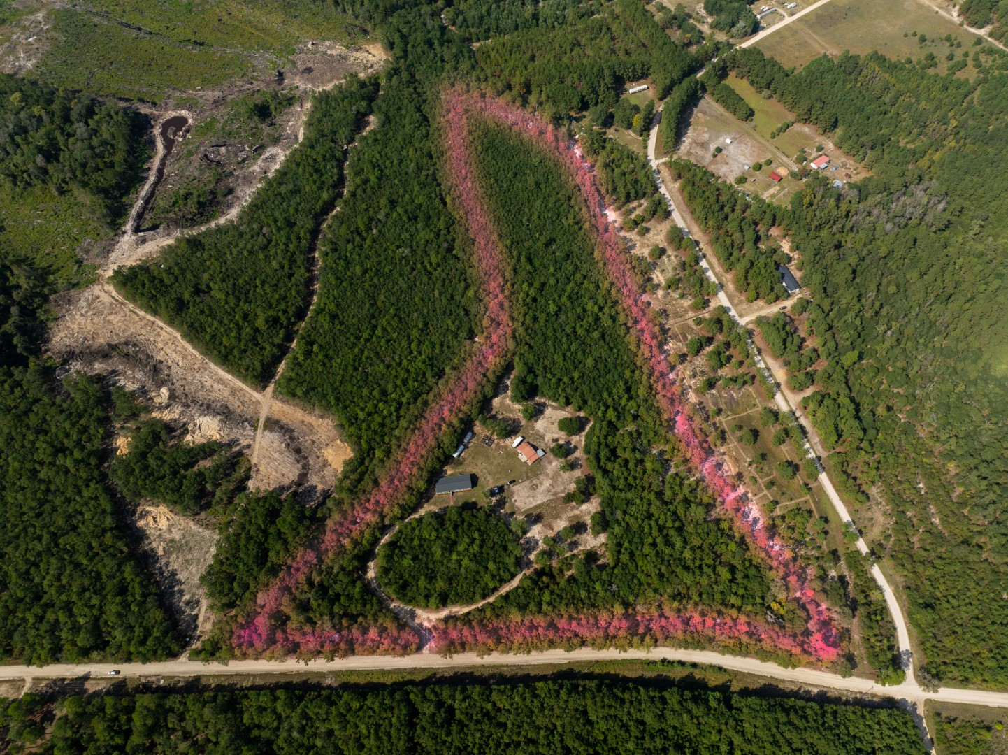 Nichols, South Carolina, 29581, United States, 4 Bedrooms Bedrooms, ,2 BathroomsBathrooms,Residential,For Sale,1983530