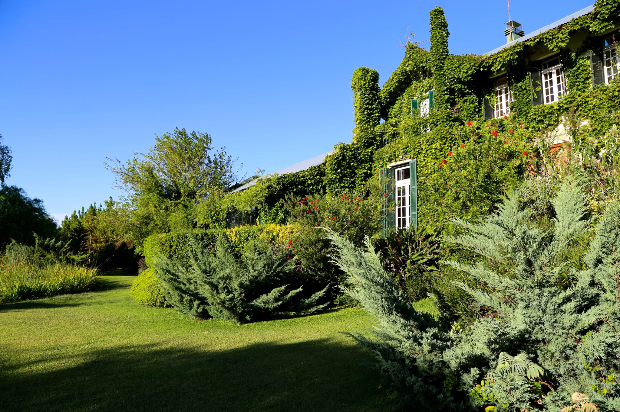  Sunset Horizons: A Historic-Inspired Signature Estate by the River - 物件實景