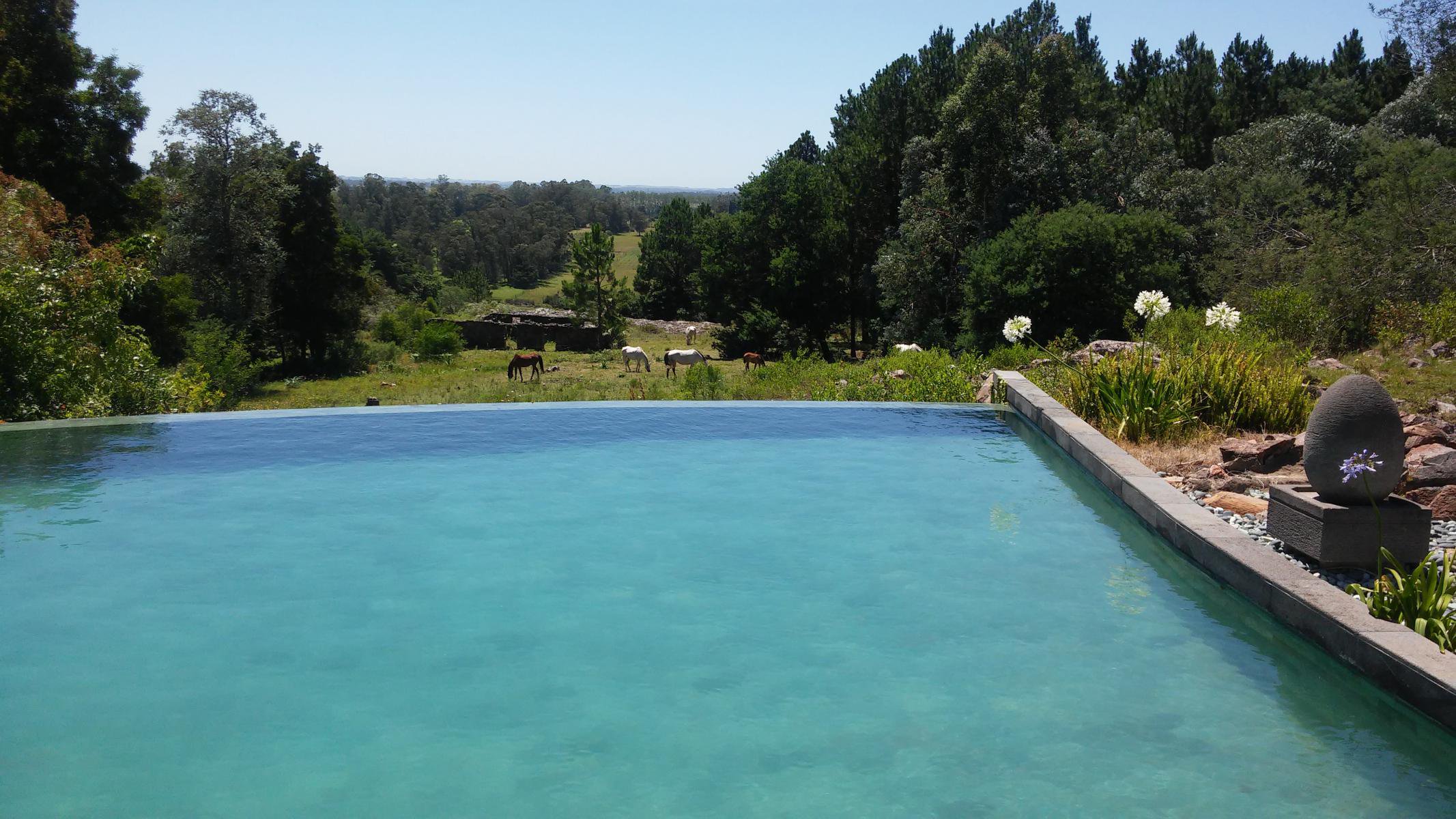  Excellent property in Laguna del Sauce. - 物件實景