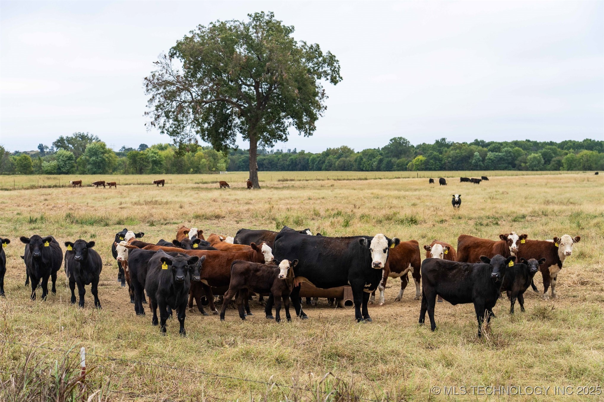 Haskell, Oklahoma, 74436, United States, ,Residential,For Sale,1989058