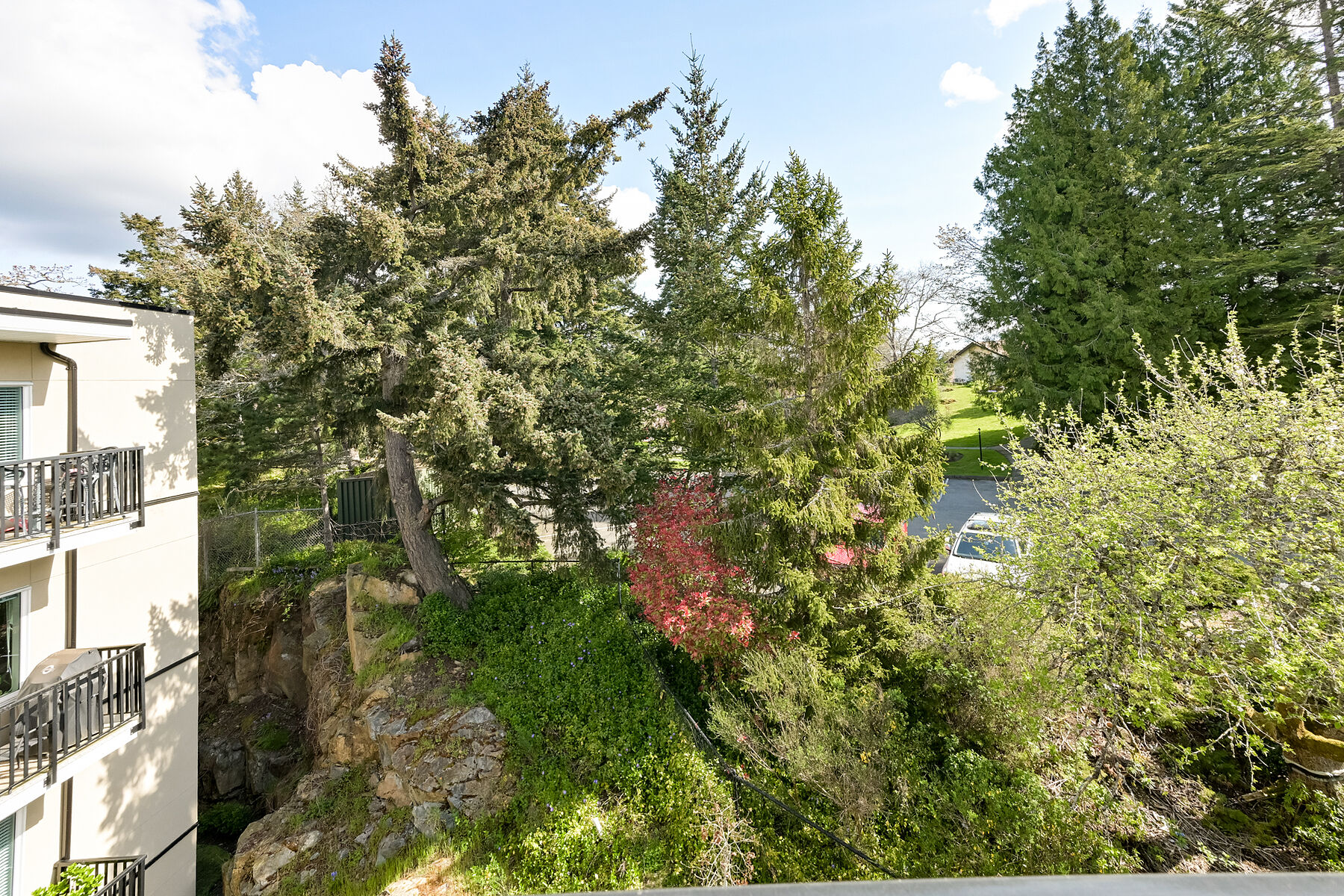  Cozy City Retreat - 物件實景