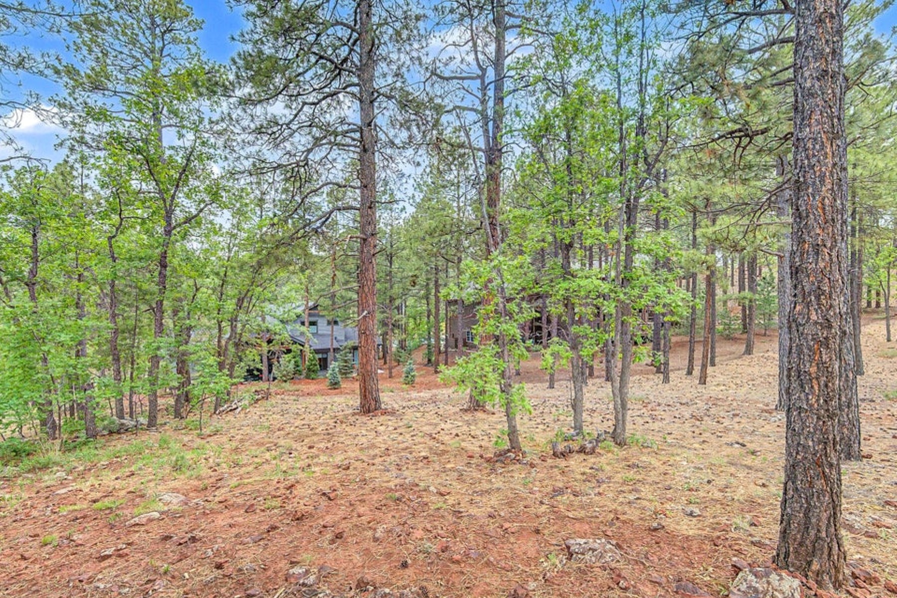  4165 Lariat Loop ¦Flagstaff, AZ - 物件實景