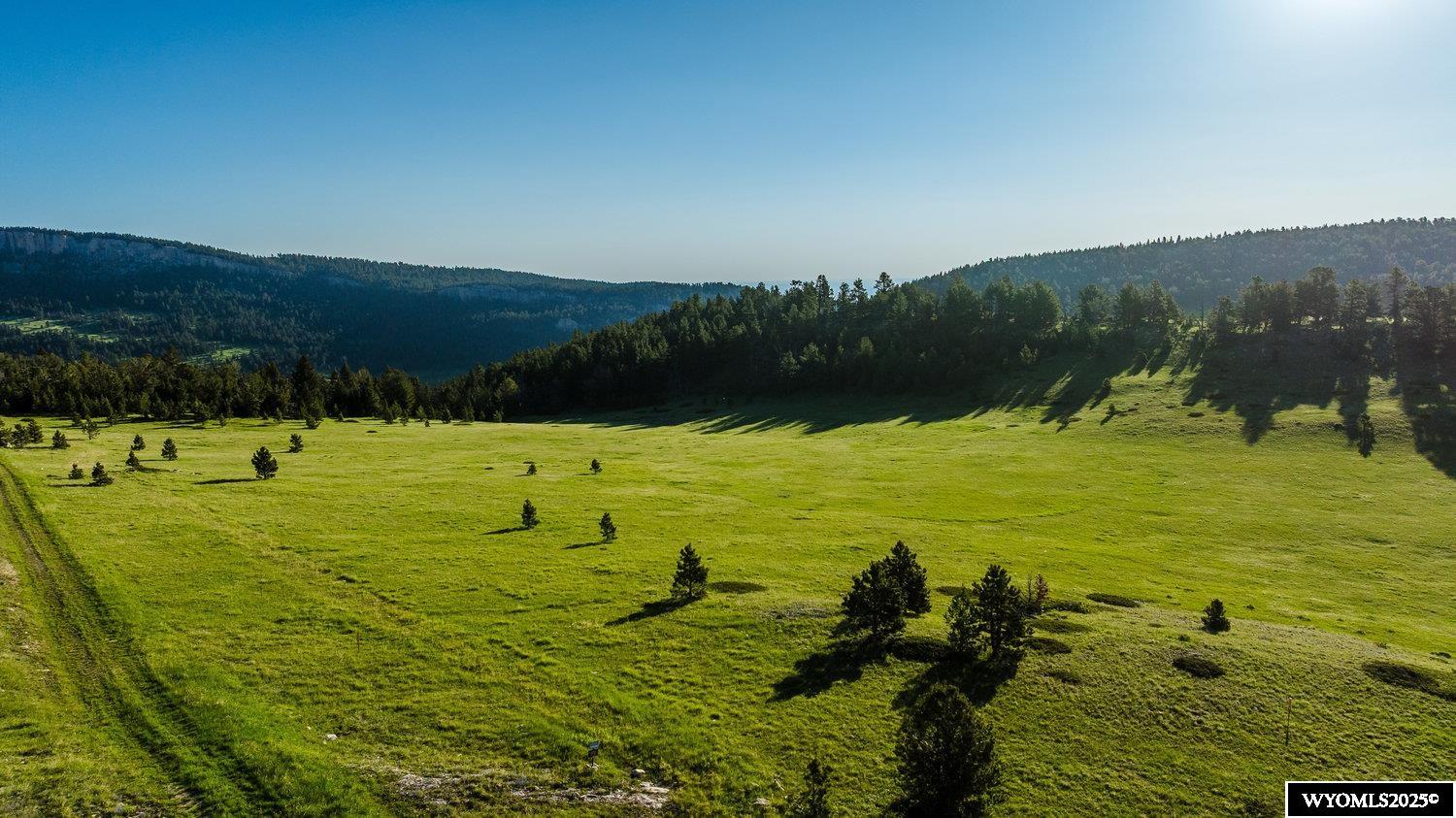 Buffalo, Wyoming, 82834, United States, ,Land,For Sale,1778348
