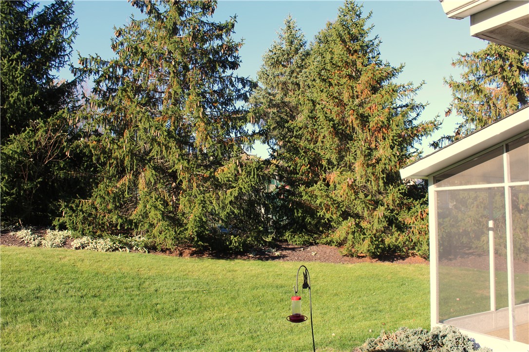 North Strabane, Pennsylvania, 15317, United States, 3 Bedrooms Bedrooms, ,3 BathroomsBathrooms,Residential,For Sale,1985383