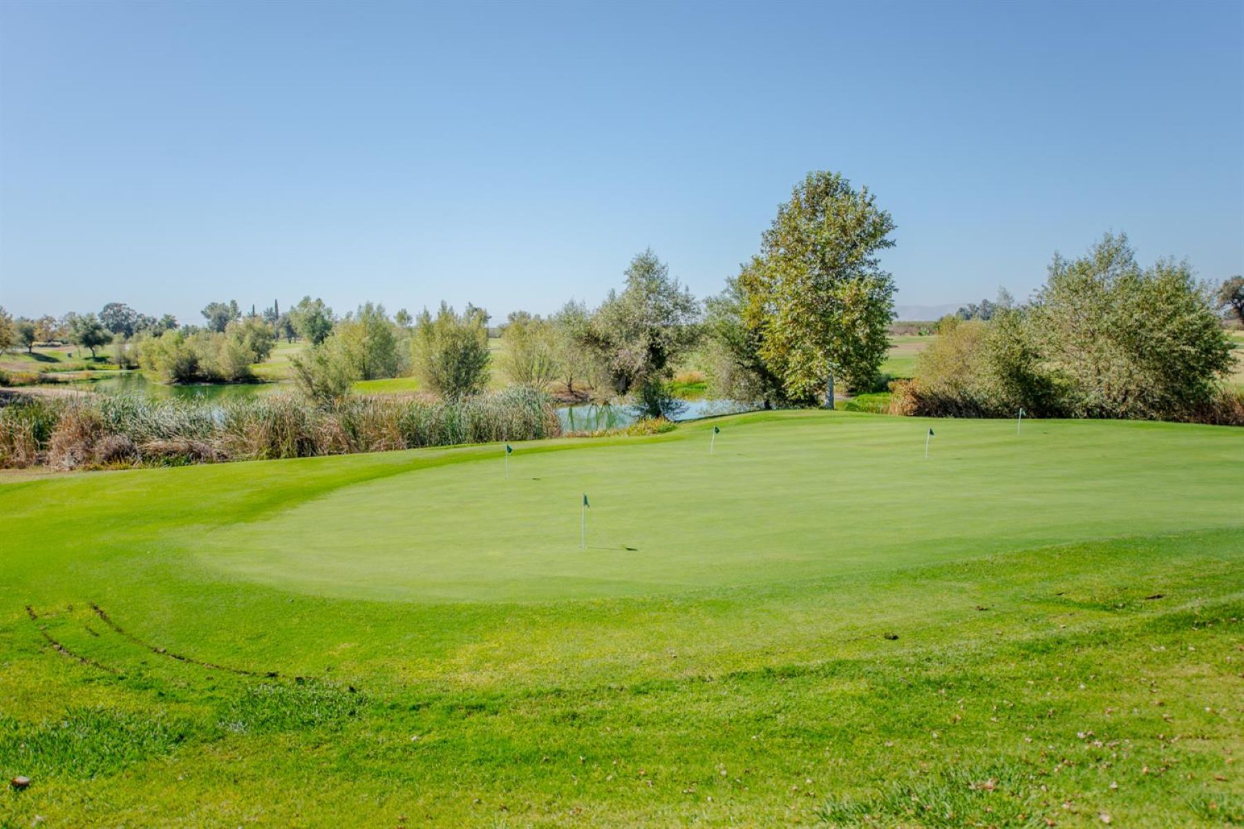  33203 Pintail Street, Woodland, CA 95695 - 物件實景