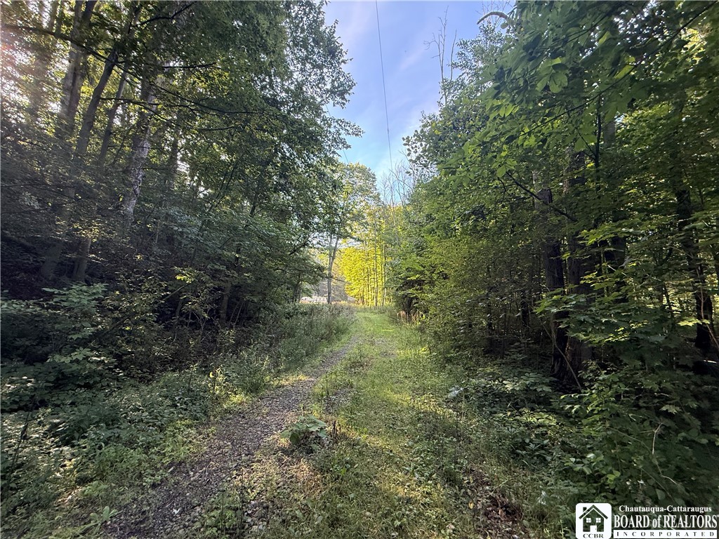 Northeast Rd, Conewango Valley, NY 14726 #1