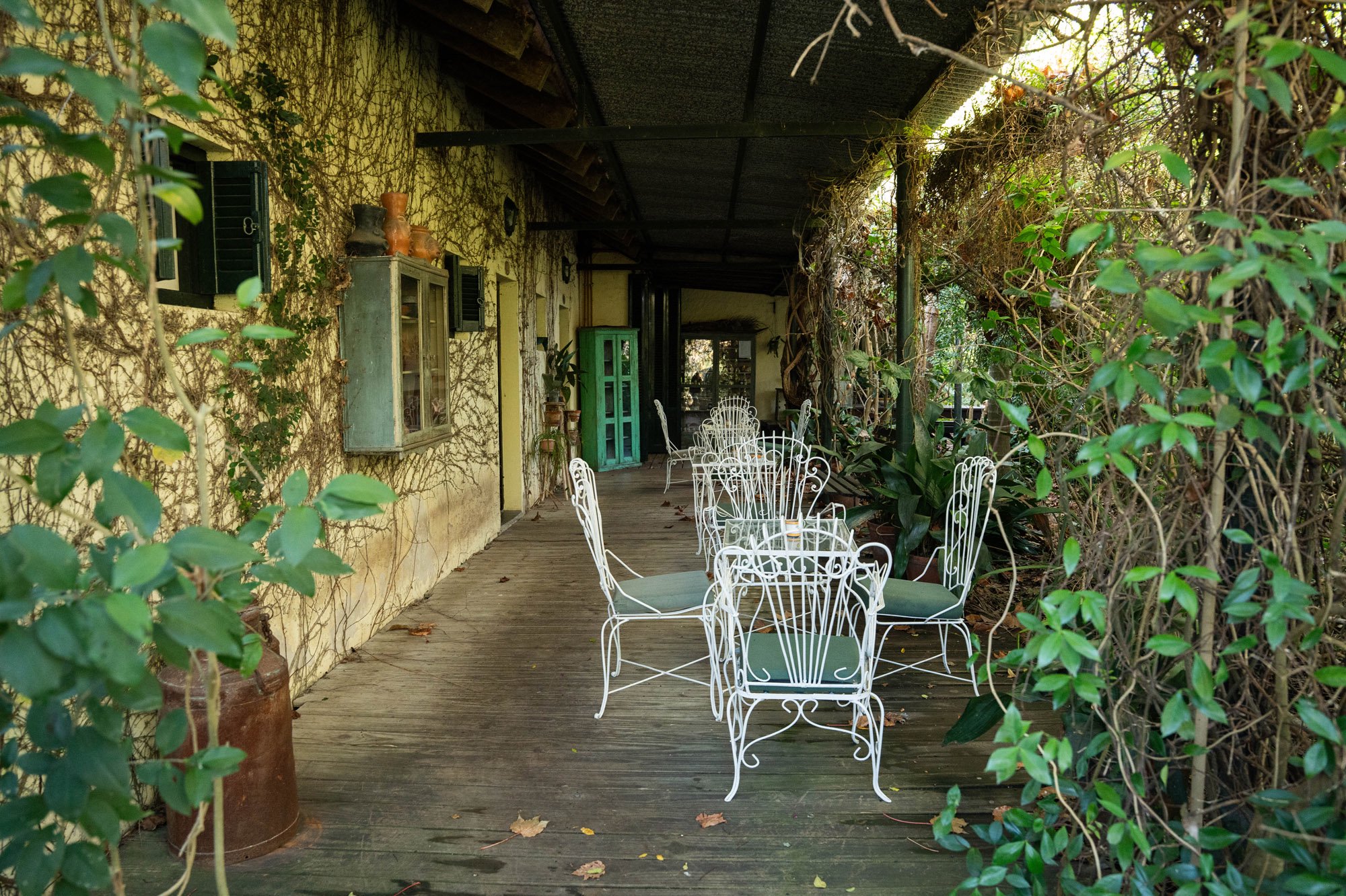  Sunset Horizons: A Historic-Inspired Signature Estate by the River - 物件實景