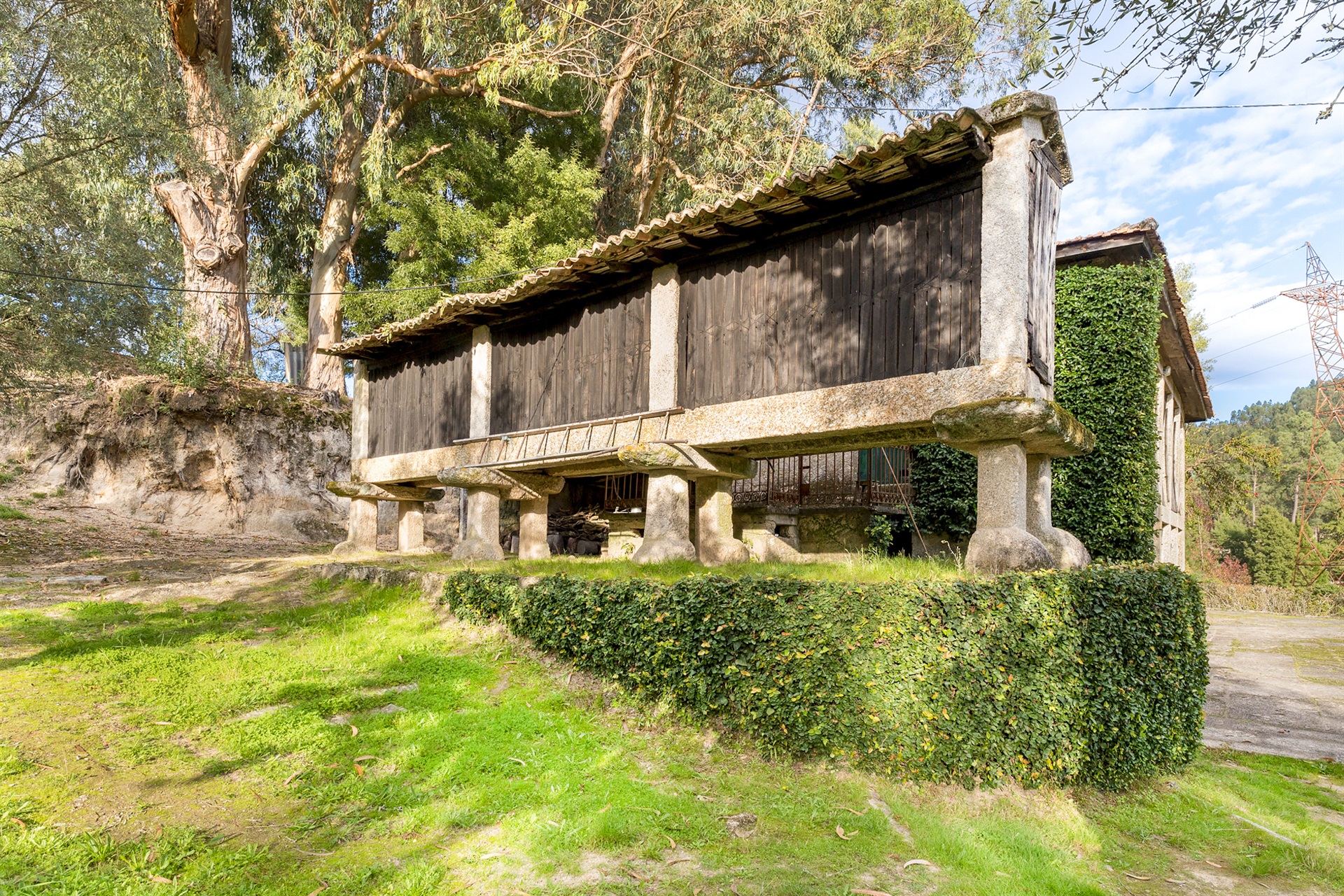  Farm, 6 bedrooms, for Sale - 物件實景