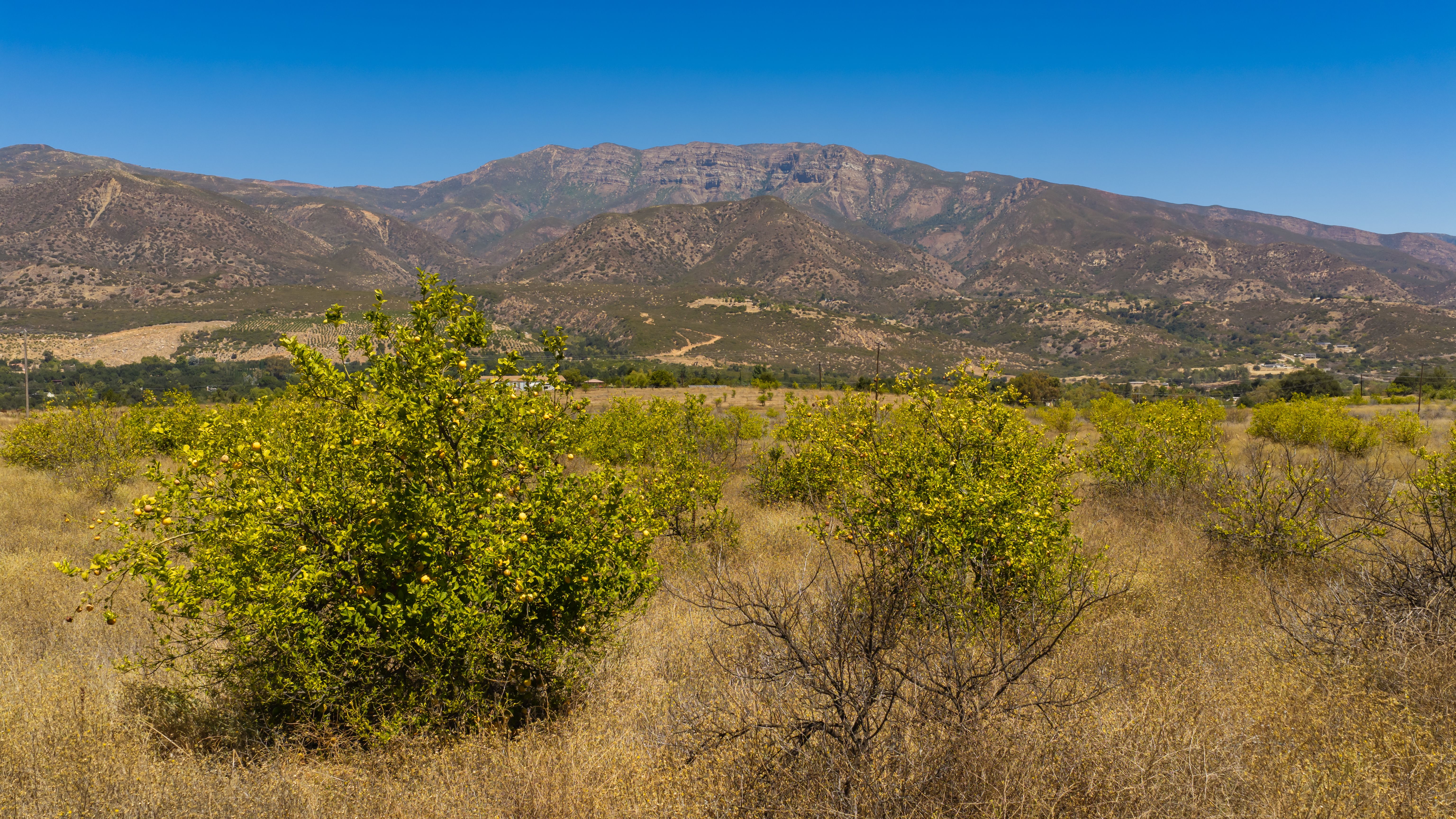  12400 Ojai Santa Paula, Ojai, CA 93023 - 物件實景