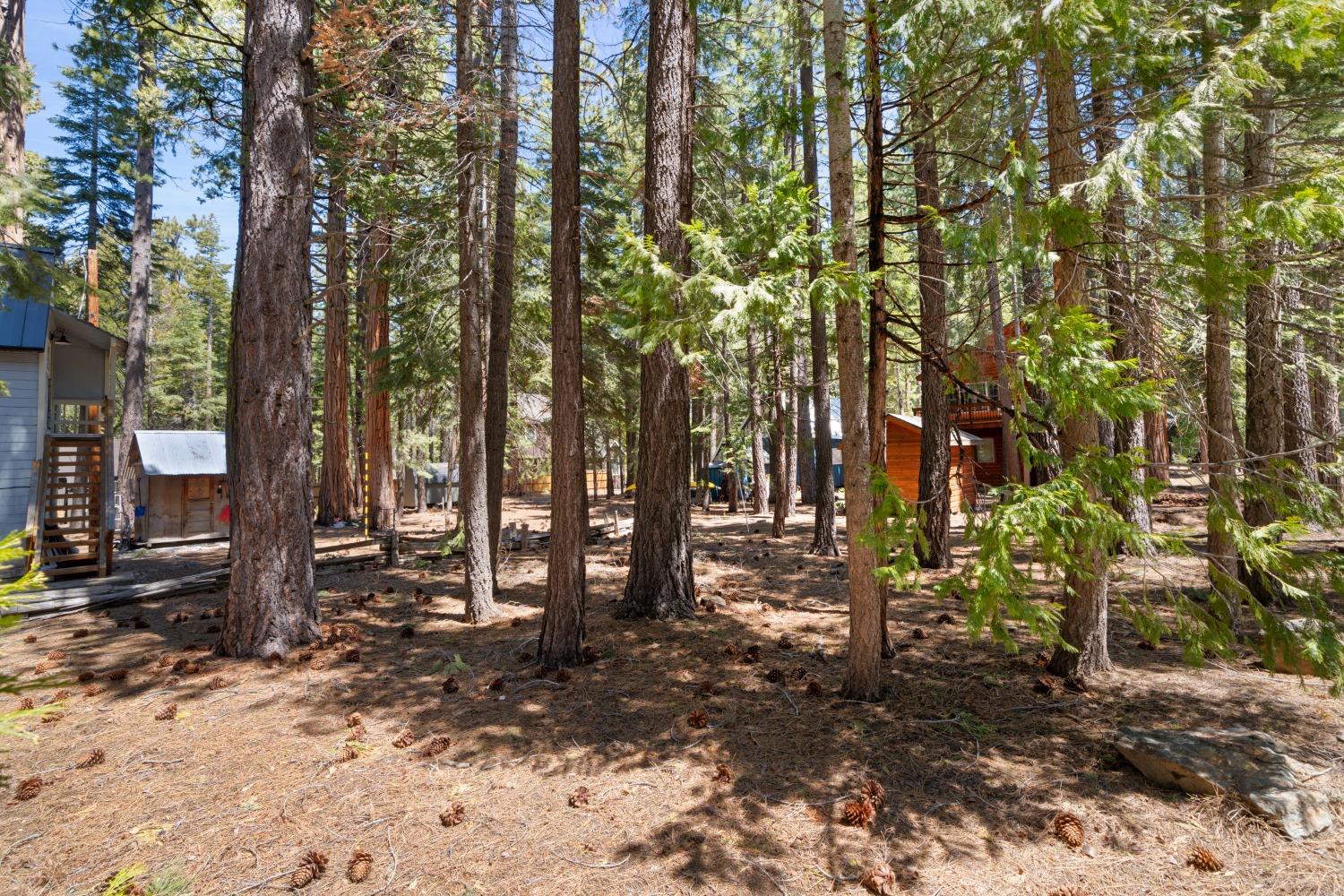 Tahoma, California, 96142, United States, 3 Bedrooms Bedrooms, ,1 BathroomBathrooms,Residential,For Sale,1794166