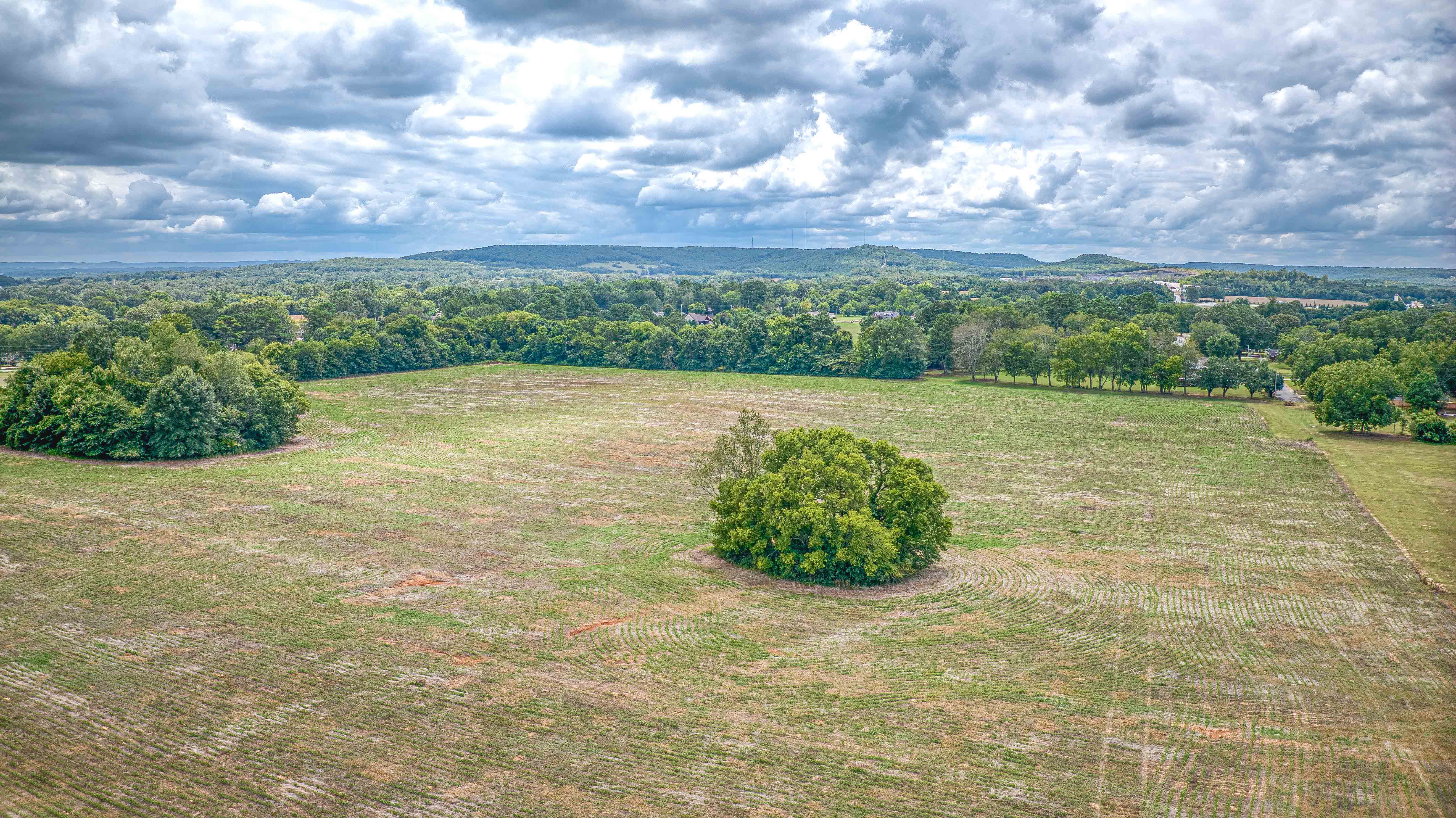 Tuscumbia, Alabama, 35674, United States, ,Land,For Sale,1976669