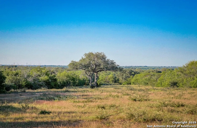 Beeville, Texas, 78102, United States, ,Land,For Sale,1987923