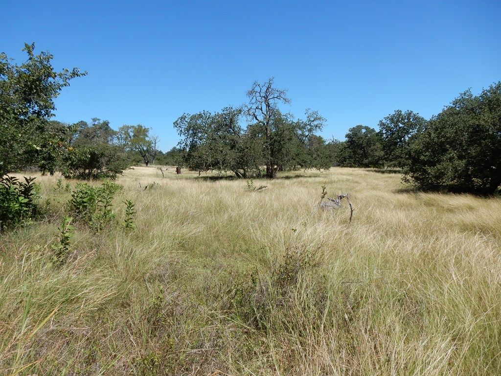 Fredericksburg, Texas, 78624, United States, ,Residential,For Sale,1921119