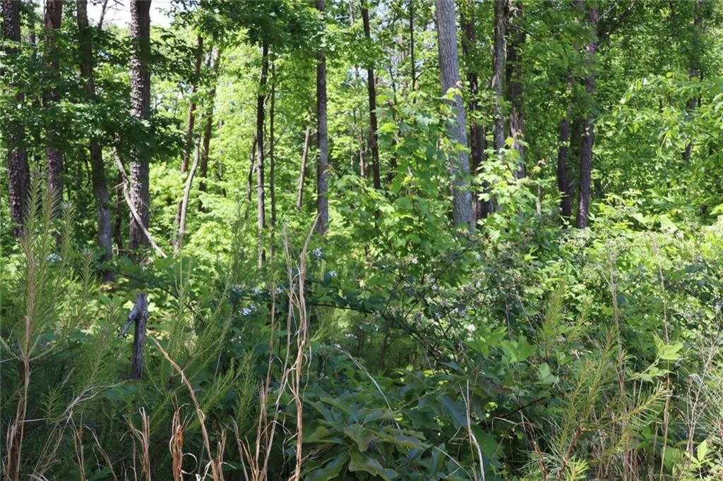 Ellijay, Georgia, 30540, United States, ,Residential,For Sale,1881390