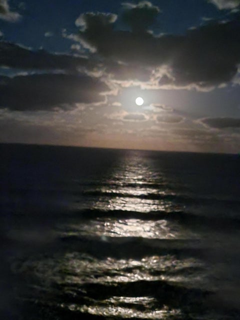 Jensen Beach, Florida, 34957, United States, 2 Bedrooms Bedrooms, ,2 BathroomsBathrooms,Residential,For Sale,1974011