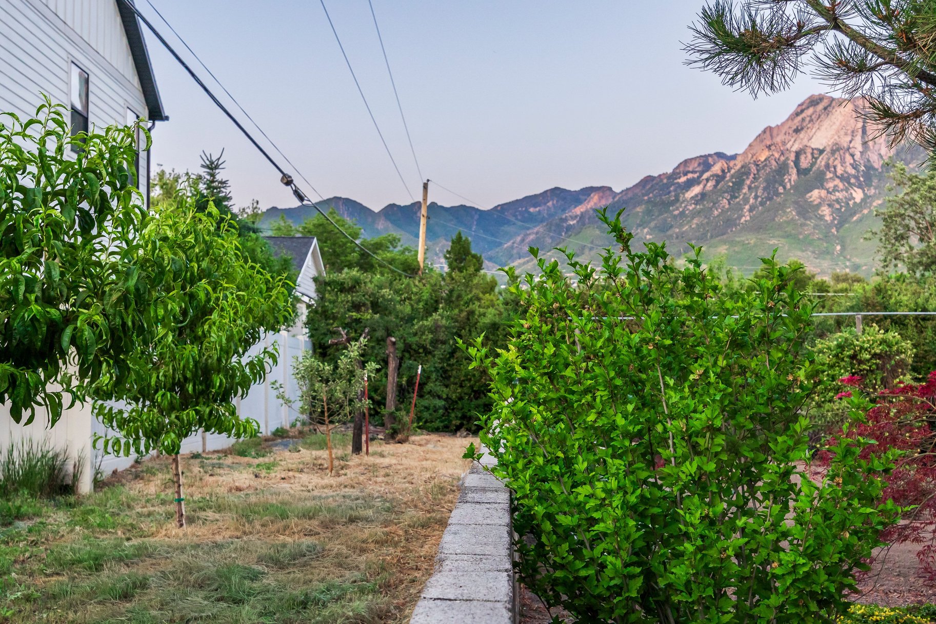  Tastefully Updated Holladay Rambler on .60 acre Manicured Lot - 物件實景