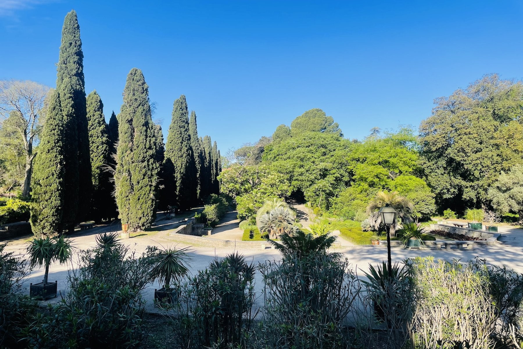  EXCLUSIVE - Traditional property on divisible land -Montpellier Sotheby’s Inter… - 物件實景