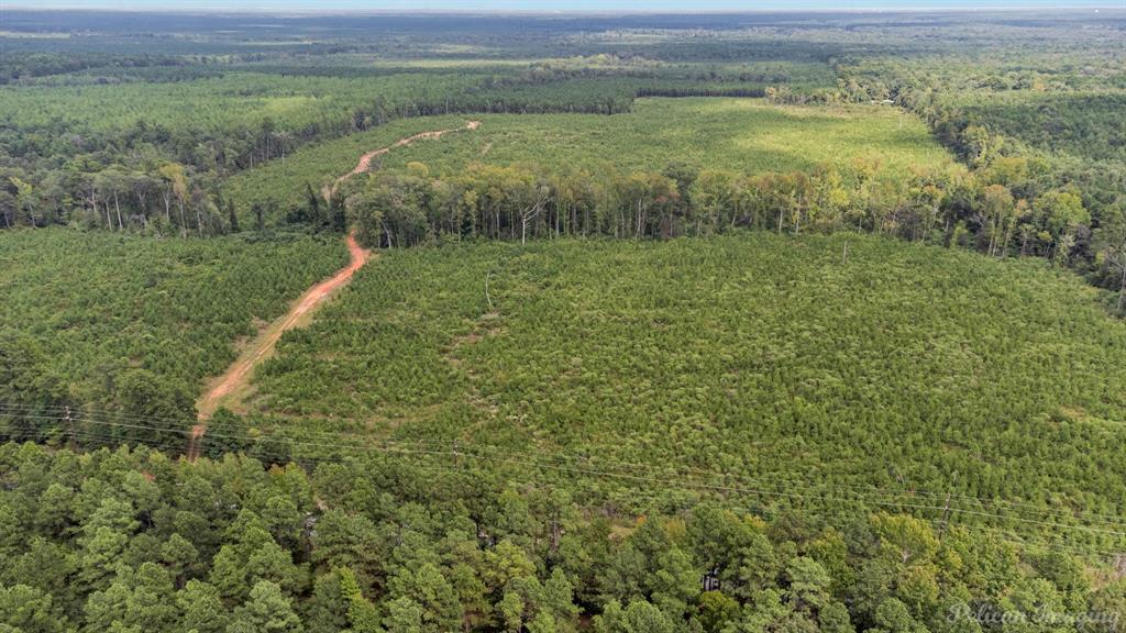 0 Highway 157 Highway, Haughton, Louisiana, 71037, United States, ,Land,For Sale,0 Highway 157 Highway,1646378