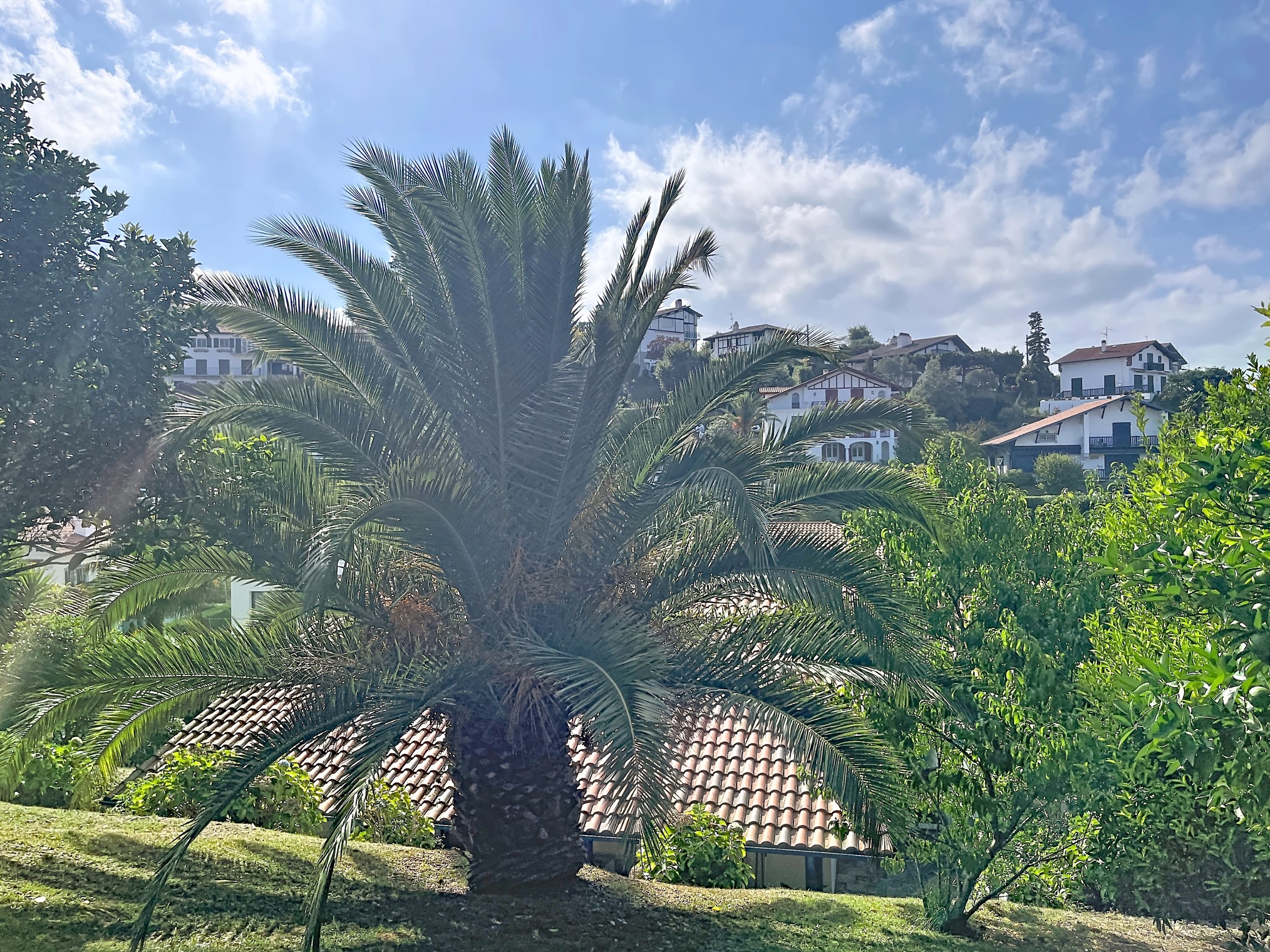  Socoa Beach 170-square-meter house - 物件實景
