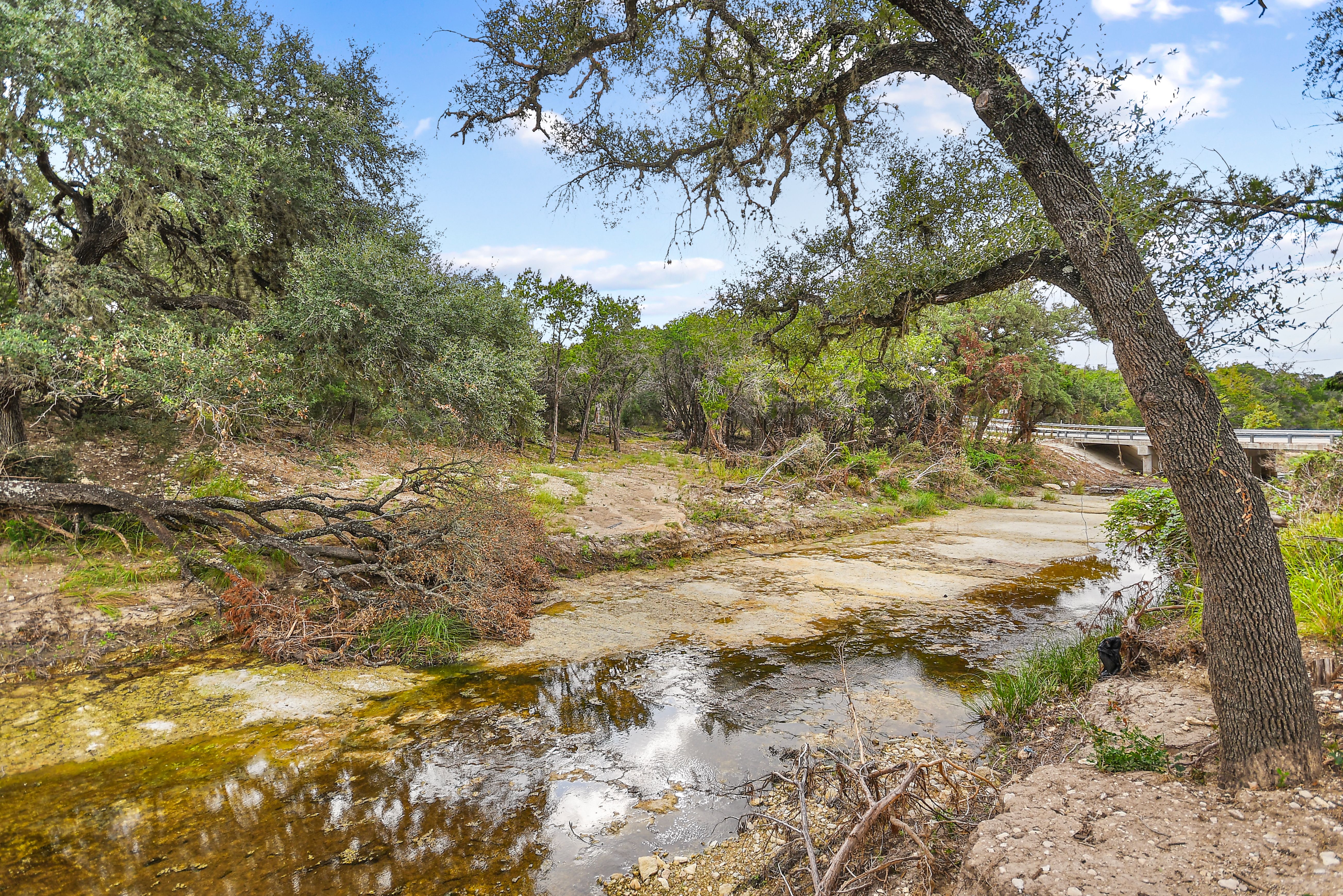  TBD Hwy 46 / Madrona Ranch Road, Pipe Creek, TX 78063 - 物件實景