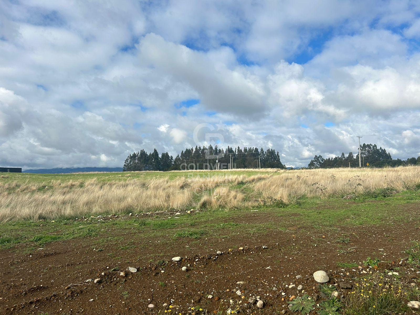 Puerto Varas, Chile, ,Residential,For Sale,2003315