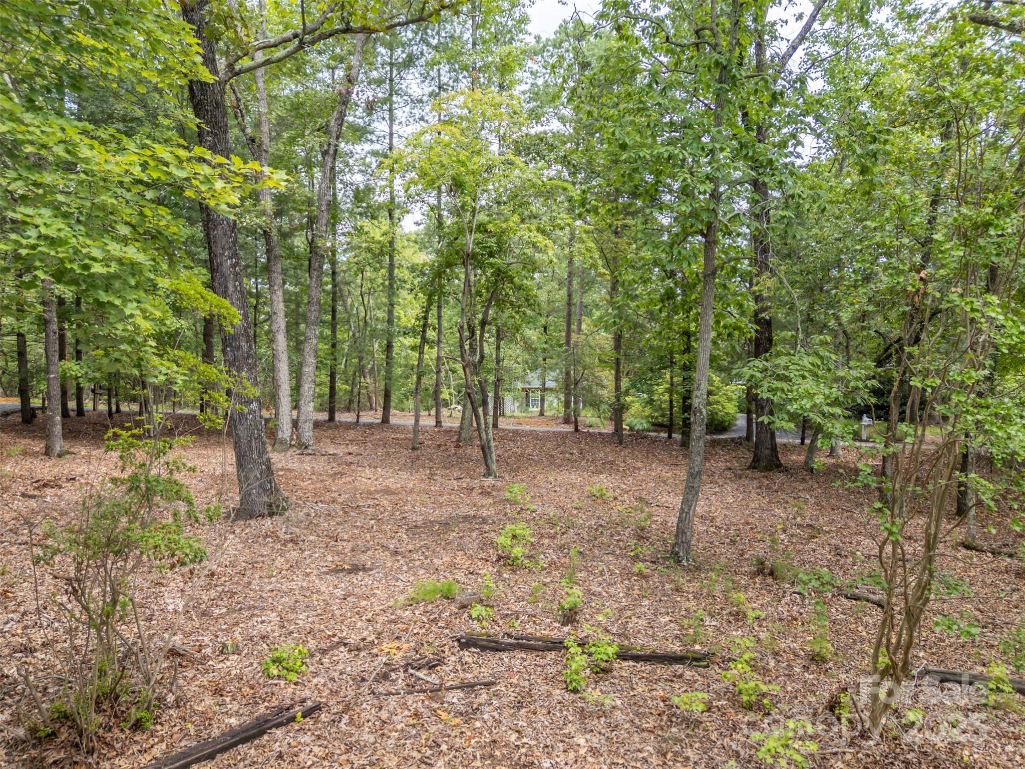 Tryon, North Carolina, 28782, United States, 3 Bedrooms Bedrooms, ,3 BathroomsBathrooms,Residential,For Sale,1918152