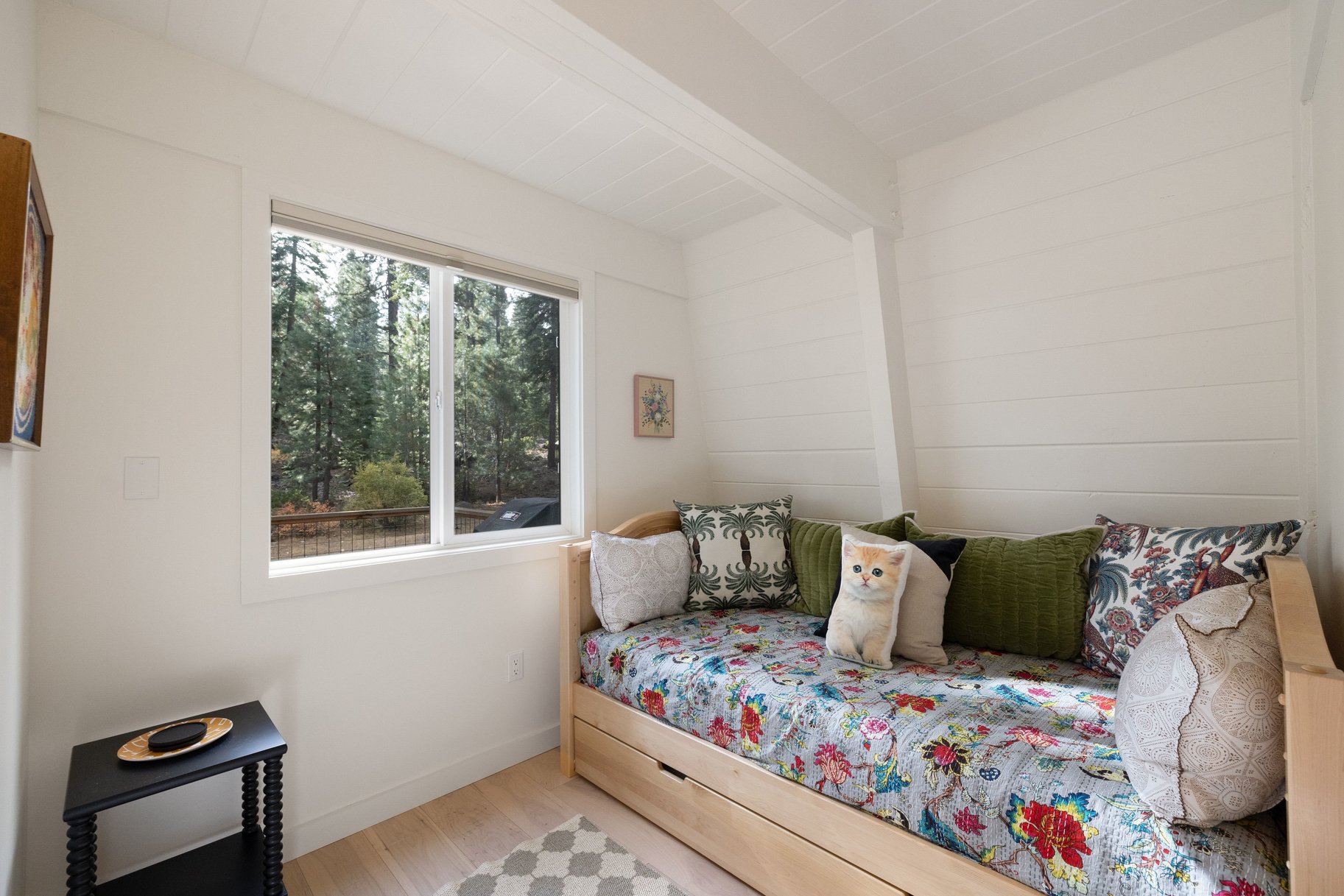  Modern Mountain Retreat Backing to Forest Service Land - 物件實景
