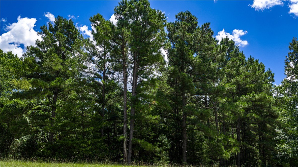 Midway, Texas, 75852, United States, 1 Bedroom Bedrooms, ,1 BathroomBathrooms,Residential,For Sale,1957289