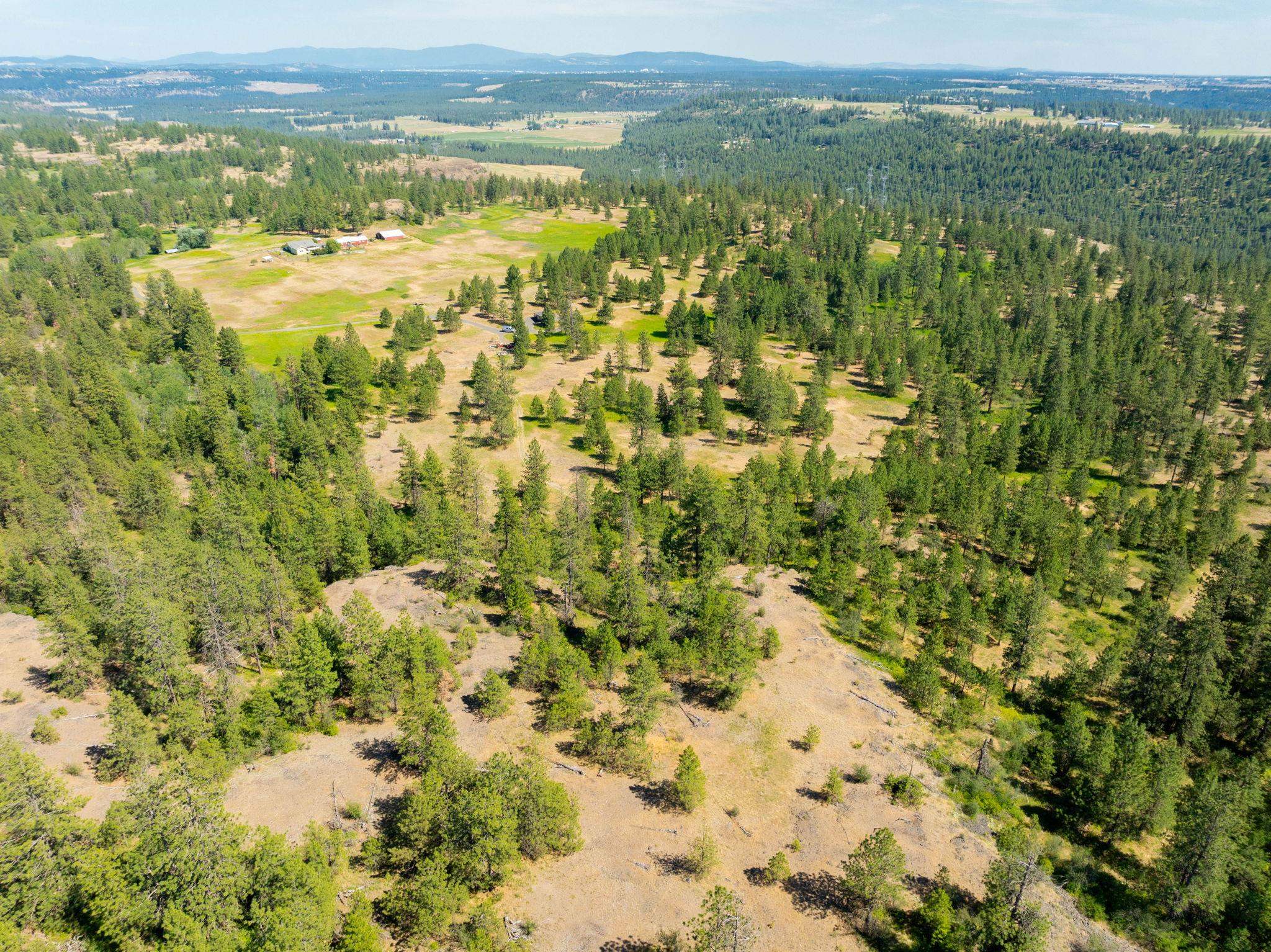 Nine Mile Falls, Washington, 99026, United States, ,Land,For Sale,1960887